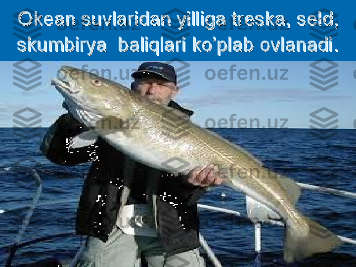 Okean suvlaridan yilliga treska, seld, Okean suvlaridan yilliga treska, seld, 
skumbirya  baliqlari ko’plab ovlanadiskumbirya  baliqlari ko’plab ovlanadi
.. 