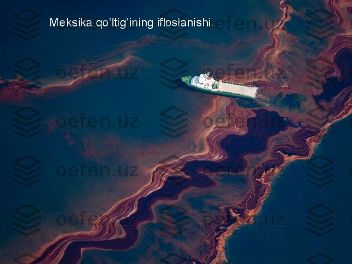 Meksika qo’ltig’ining ifloslanishi. 