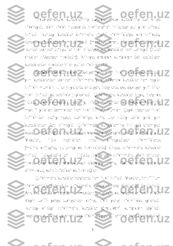 O‘suv-generativ   kurtaklarning   tuzilishi   o‘suv   kurtakning   tuzilishiga
o‘xshaydi,   lekin   o‘sish   nuqgasida   boshlang‘ich   holatdagi   gul   yoki   to‘pgul
bo‘ladi.   Bunday   kurtaklar   ko‘pincha   o‘tchil   o‘simliklarga   xos   bo‘lsada,
daraxt   va   butalarda   ham   uchraydi   (masalan,   siren,   buzina=marjondaraxt).
Bundan tashqari to‘pgullar hosil qiladigan gul kurtaklar ham uchraydi (bular
shaklan   o‘zgargan   novdadir).   Nihoyat   aralash   kurtaklar   deb   ataladigan
kurtaklardan novdalar bilan gullar o‘sib chiqadi.
Qo‘shimcha  kurtaklar.   Ekzogen yo‘l bilan  hosil  bo‘ladigan  odatdagi
yon   kurtaklardan   tashqari   qo‘shimcha   yoki   adventiv   kurtaklar   ham   paydo
bo‘lishi  mumkin.  Ular  poyalarda  endogen,  barglarda  esa  ekzogen  yo‘l  bilan
hosil   bo‘ladi   va   tartibsiz   joylashadi.   Qo‘shimcha   kurtaklar   poya,   barg   va
ildizda   ularning   perisikl   kambiy,   o‘zak   nurlaridan   va   hatgoki   bargning
mezofil yoki epidermisidan ham hosil bo‘lishi mumkin. Qaysi organdan hosil
bo‘lishidan   qat’iy   nazar,   tuzilishiga   ko‘ra   ular   oddiy   uchki   yoki   yon
kurtaklardan   farq   qilmaydi.   Qo‘shimcha   kurtaklarning   biologik   ahamiyati
katta.   Ular   ko‘pgina   o‘simliklarda   vegetativ   ko‘payish   uchun   xizmat   qiladi.
Masalan,   ildiz   bachkilari   orqali   ko‘payadigan   o‘simliklarda
(malina=xo‘jag‘at,   qulupnay   va   boshqalarda)   albatta   qo‘shimcha   kurtaklar
bo‘ladi.   Ildiz   bachkilari   —   ildizda   joylashgan   qo‘shimcha   o‘sib   chiqqan
novda   (tog‘   teragi,   shumtol,   oq   akatsiya,   olcha,   olxo‘ri,   siren,   yantoq,
chirmovuq, sariq bo‘ztikan va boshqa)lar.
Qo‘shimcha kurtaklar barglarda ham hosil bo‘ladi. Masalan, briofillium
o‘simligining   barglarida   qo‘shimcha   kurtaklar   barg   chetlarida   rivojlanadi.
Ana shu kurtaklar bargdan uzilmasdanoq, ildizcha va bargchalar hosil qiladi.
Keyin   uzilib   yerga   tushgandan   so‘ng,   o‘sib   yangi   o‘simlikka   aylanadi.
Bunday   xildagi   qo‘shimcha   kurtaklar   ajraluvchi   kurtaklar   deyiladi.
Begoniya   gulining   uy   sharoitida   o‘stiriladigan   xillarining   barg   qalamchalari
5 