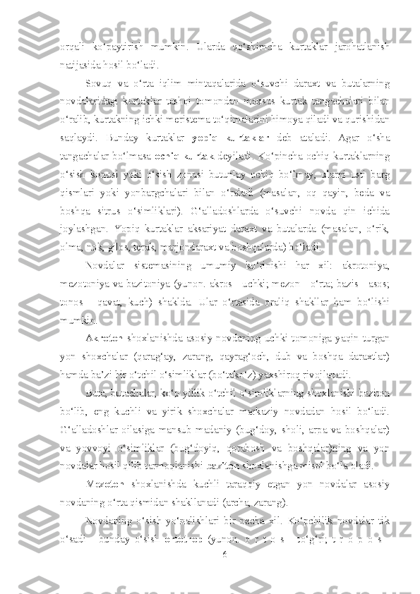 orqali   ko‘paytirish   mumkin.   Ularda   qo‘shimcha   kurtaklar   jarohatlanish
natijasida hosil bo‘ladi.
Sovuq   va   o‘rta   iqlim   mintaqalarida   o‘suvchi   daraxt   va   butalarning
novdalaridagi   kurtaklar   tashqi   tomondan   maxsus   kurtak   tangachalari   bilan
o‘ralib, kurtakning ichki meristema to‘qimalarini himoya qiladi va qurishidan
saqlaydi.   Bunday   kurtaklar   yopiq   kurtaklar   deb   ataladi.   Agar   o‘sha
tangachalar bo‘lmasa   ochiq kurtak   deyiladi. Ko‘pincha ochiq kurtaklarning
o‘sish   konusi   yoki   o‘sish   zonasi   butunlay   ochiq   bo‘lmay,   ularni   usti   barg
qismlari   yoki   yonbargchalari   bilan   o‘raladi   (masalan,   oq   qayin,   beda   va
boshqa   sitrus   o‘simliklari).   G‘alladoshlarda   o‘suvchi   novda   qin   ichida
joylashgan.   Yopiq   kurtaklar   aksariyat   daraxt   va   butalarda   (masalan,   o‘rik,
olma, nok, gilos, terak, marjondaraxt va boshqalarda) bo‘ladi.
Novdalar   sistemasining   umumiy   ko‘rinishi   har   xil:   akrotoniya,
mezotoniya va bazitoniya (yunon. akros - uchki; mezon - o‘rta; bazis - asos;
tonos   -   qavat,   kuch)   shaklda.   Ular   o‘rtasida   oraliq   shakllar   ham   bo‘lishi
mumkin.
Akroton   shoxlanishda  asosiy  novdaning  uchki  tomoniga  yaqin  turgan
yon   shoxchalar   (qarag‘ay,   zarang,   qayrag‘och,   dub   va   boshqa   daraxtlar)
hamda ba’zi bir o‘tchil o‘simliklar (bo‘tako‘z) yaxshiroq rivojlanadi.
Buta, butachalar, ko‘p yillik o‘tchil o‘simliklarning shoxlanishi baziton
bo‘lib,   eng   kuchli   va   yirik   shoxchalar   markaziy   novdadan   hosil   bo‘ladi.
G‘alladoshlar   oilasiga   mansub   madaniy   (bug‘doy,   sholi,   arpa   va   boshqalar)
va   yovvoyi   o‘simliklar   (bug‘doyiq,   qorabosh   va   boshqalar)ning   va   yon
novdalar hosil qilib tarmoqlanishi  baziton  shoxlanishga misol bo‘la oladi.
Mezoton   shoxlanishda   kuchli   taraqqiy   etgan   yon   novdalar   asosiy
novdaning o‘rta qismidan shakllanadi (archa, zarang).
Novdaning   o‘sish   yo‘nalishlari   bir   necha   xil.   Ko‘pchilik   novdalar   tik
o‘sadi   -   bunday   o‘sish   ortotrop   (yunon.   o   r   t   o   s   -   to‘g‘ri;   t   r   o   p   o   s   -
6 