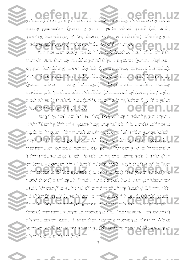 yo‘nalish) o‘sish yoki yo‘nalish   deb ataladi. Bu xildagi o‘sishda asosiy novda
manfiy   geotropizm   (yunon.   g   ye   o   -   yer)ni   sakdab   qoladi   (tol,   terak,
qarag‘ay,   kungaboqar,   g‘o‘za,   shuvoq,   sho‘ra   va   boshqalar).   Ularning   yon
novda yo‘nalishi tashqi muhit ta’sirida o‘zgarishi mumkin.
Yon   novdalar   asosiy   novda   bilan   turli   burchak   hosil   qilib   birikishi
mumkin.   Ana   shunday   novdalar   yo‘nalishiga   plagiotrop   (yunon.   Plagiose   -
egilgan,   ko‘ndalang)   o‘sish   deyiladi   (qovun,   tarvuz,   qovoqva   boshqalar).
Ko‘pincha novdalar o‘sish mobaynida o‘z yo‘nalishini o‘zgartirib   anizotrop
(yunon.   anizos   —   teng   bo‘lmagan)   holatga   o‘tishi   mumkin.   Bunday
novdalarga ko‘pincha o‘tchil o‘simliklar   (o‘rmalovchi ayiqtovon, bug‘doyiq,
qorabosh   va   boshqalar),   buta   (turkiston   archasi)ning   ko‘tarilib   yoki   qiyalab
o‘suvchi novdalari misol bo‘ladi.
Bargning   hosil   bo‘lishi   va   rivojlanishi.   Barg   novdaning   yon   organi.
O‘simliklarning birinchi vegetativ bargi urug‘palla bo‘lib, u aneks uchi novda
paydo bo‘lmasdan   oldin murtak tanasining takomillashishidan yuzaga keladi.
Keyin   hosil   bo‘ladigan   primordial   barg   novdaning   o‘sish   konusidagi
meristemadan   akropetal   tartibda   ekzogen   bo‘rtmalar   yoki   do‘mboqchalar
ko‘rinishida   vujudga   keladi.   Avvalo   uning   protoderma   yoki   boshlang‘ich
epiderma   xujayralari bir xil (antiklinal) bo‘linadi. Keyinchalik   hosil bo‘lgan
do‘mboqchalar   differensiyalanib   (lot.   tafovut,   farq)   ikki:   yuqori   (apekal)   va
pastki   (bazal)   qismlarga   bo‘linadi.   Bunda   apekal,   bazal   qismga   nisbatan   tez
usadi.   Ninabarglilar   va   bir   pallalilar   pirimordialining   kattaligi   0,3   mm,   ikki
pallalilarniki   esa   7-10   va   ba’zan   15   mm   ga   (ba’zi   butguldoshlarda)   yetadi.
Shundan   keyin   primordiyning   apeki   o‘sishdan   to‘xtaydi.   Uning   marginal
(chetki)   meristema   xujayralari   interkalyar   (lot.   interkalyars   -   joylashtirish)
o‘sishda   davom   etadi.   Boshlang‘ich   bargning   interkalyar   o‘sishini   Afrika
sahrolarida o‘suvchi ajoyib velvichiya (Welwitschia mirablis) deb ataladigan
o‘simliklarda ko‘rish mumkin. 
7 