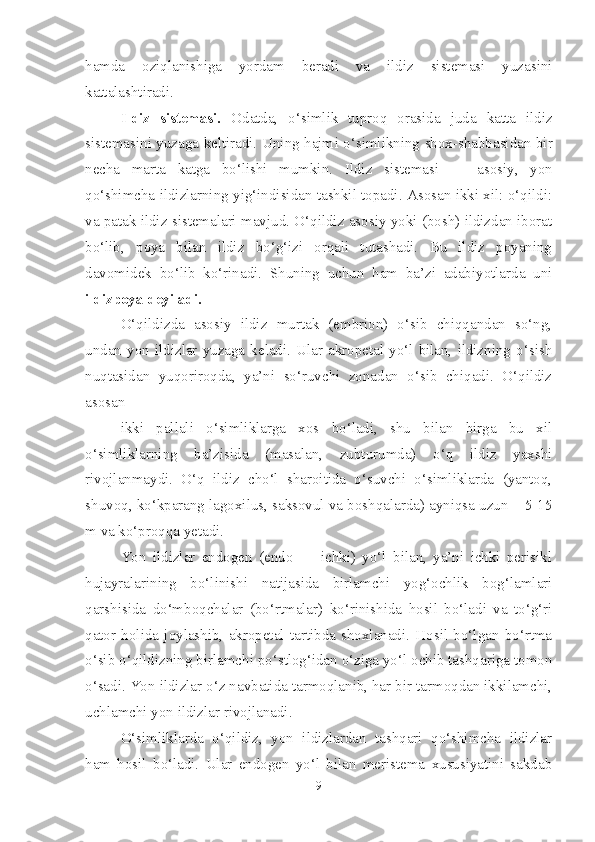 hamda   oziqlanishiga   yordam   beradi   va   ildiz   sistemasi   yuzasini
kattalashtiradi.
Ildiz   sistemasi.   Odatda,   o‘simlik   tuproq   orasida   jud a   katta   ildiz
sistemasini yuzaga keltiradi. Uning hajm i   o‘simlikning shox-shabbasidan bir
necha   marta   katga   bo‘lishi   mumkin.   Ildiz   sistemasi   —   asosiy,   yon
qo‘shimcha ildizlarning yig‘indisidan tashkil topadi. Asosan ikki xil: o‘qildi:
va patak ildiz sistemalari mavjud. O‘qildiz asosiy yoki (bosh) ildizdan iborat
bo‘lib,   poya   bilan   ildiz   bo‘g‘izi   orqali   tutashadi.   Bu   ildiz   poyaning
davomidek   bo‘lib   ko‘rinadi.   Shuning   uchun   ham   ba’zi   adabiyotlarda   uni
ildizpoya deyiladi.
O‘qildizda   asosiy   ildiz   murtak   (embrion)   o‘sib   chiqqandan   so‘ng,
undan   yon  ildizlar   yuzaga   keladi.  Ular  akropetal   yo‘l   bilan,   ildizning   o‘sish
nuqtasidan   yuqoriroqda,   ya’ni   so‘ruvchi   zonadan   o‘sib   chiqadi.   O‘qildiz
asosan
ikki   pallali   o‘simliklarga   xos   bo‘ladi,   shu   bilan   birga   bu   xil
o‘simliklarning   ba’zisida   (masalan,   zubturumda)   o‘q   ildiz   yaxshi
rivojlanmaydi.   O‘q   ildiz   cho‘l   sharoitida   o‘suvchi   o‘simliklarda   (yantoq,
shuvoq, ko‘kparang lagoxilus, saksovul va boshqalarda) ayniqsa uzun – 5-15
m va ko‘proqqa yetadi.
Yon   ildizlar   endogen   (endo   —   ichki)   yo‘l   bilan,   ya’ni   ichki   perisikl
hujayralarining   bo‘linishi   natijasida   birlamchi   yog‘ochlik   bog‘lamlari
qarshisida   do‘mboqchalar   (bo‘rtmalar)   ko‘rinishida   hosil   bo‘ladi   va   to‘g‘ri
qator   holida   joylashib,   akropetal   tartibda   shoxlanadi.   Hosil   bo‘lgan   bo‘rtma
o‘sib o‘qildizning birlamchi po‘stlog‘idan o‘ziga yo‘l ochib tashqariga tomon
o‘sadi. Yon ildizlar o‘z navbatida tarmoqlanib, har bir tarmoqdan ikkilamchi,
uchlamchi yon ildizlar rivojlanadi.
O‘simliklarda   o‘qildiz,   yon   ildizlardan   tashqari   qo‘shimcha   ildizlar
ham   hosil   bo‘ladi.   Ular   endogen   yo‘l   bilan   meristema   xususiyatini   sakdab
9 