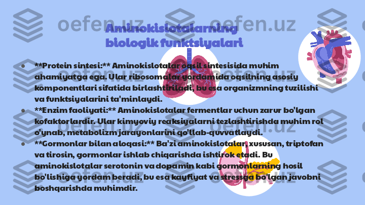 Aminokislotalarning 
biologik funktsiyalari
● **Protein sintesi:** Aminokislotalar oqsil sintesisida muhim 
ahamiyatga ega. Ular ribosomalar yordamida oqsilning asosiy 
komponentlari sifatida birlashtiriladi, bu esa organizmning tuzilishi 
va funktsiyalarini ta'minlaydi.
● **Enzim faoliyati:** Aminokislotalar fermentlar uchun zarur bo'lgan 
kofaktorlardir. Ular kimyoviy reaksiyalarni tezlashtirishda muhim rol 
o'ynab, metabolizm jarayonlarini qo'llab-quvvatlaydi.
● **Gormonlar bilan aloqasi:** Ba'zi aminokislotalar, xususan, triptofan 
va tirosin, gormonlar ishlab chiqarishda ishtirok etadi. Bu 
aminokislotalar serotonin va dopamin kabi gormonlarning hosil 
bo'lishiga yordam beradi, bu esa kayfiyat va stressga bo'lgan javobni 
boshqarishda muhimdir. 