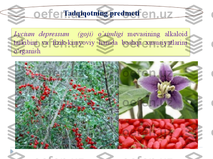 Tadqiqotning predmeti
Lycium  depressum    (goji)  o`simligi  mevasining   alkaloid 
tarkibini  va  fizik-kimyoviy  hamda  boshqa  xususiyatlarini 
o‘rganish    