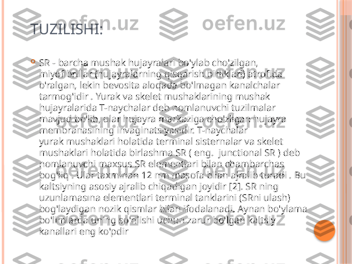 TUZILISHI:

SR - barcha mushak hujayralari bo'ylab cho'zilgan, 
miyofibrillar (hujayralarning qisqarish birliklari) atrofida 
o'ralgan, lekin bevosita aloqada bo'lmagan kanalchalar 
tarmog'idir . Yurak va skelet mushaklarining mushak 
hujayralarida T-naychalar deb nomlanuvchi tuzilmalar 
mavjud bo'lib, ular hujayra markaziga cho'zilgan hujayra 
membranasining invaginatsiyasidir. T-naychalar 
yurak mushaklari holatida terminal sisternalar va skelet 
mushaklari holatida birlashma SR ( eng.  junctional SR ) deb 
nomlanuvchi maxsus SR elementlari bilan chambarchas 
bog'liq . Ular taxminan 12 nm masofa bilan ajralib turadi . Bu 
kaltsiyning asosiy ajralib chiqadigan joyidir [2]. SR ning 
uzunlamasına elementlari terminal tanklarini (SRni ulash) 
bog'laydigan nozik qismlar bilan ifodalanadi. Aynan bo'ylama 
bo'limlarda uning so'rilishi uchun zarur bo'lgan kaltsiy 
kanallari eng ko'pdir     