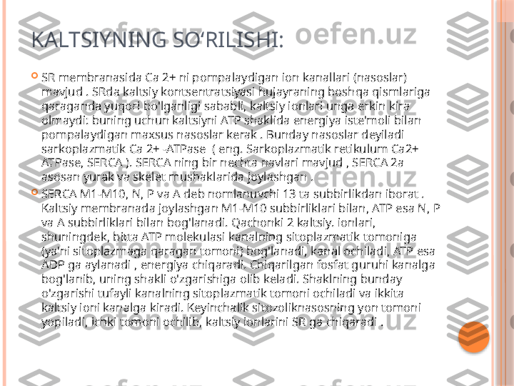 KALTSIYNING SO‘RILISHI: 

SR membranasida Ca 2+ ni pompalaydigan ion kanallari (nasoslar) 
mavjud . SRda kaltsiy kontsentratsiyasi hujayraning boshqa qismlariga 
qaraganda yuqori bo'lganligi sababli, kaltsiy ionlari unga erkin kira 
olmaydi: buning uchun kaltsiyni ATP shaklida energiya iste'moli bilan 
pompalaydigan maxsus nasoslar kerak . Bunday nasoslar deyiladi 
sarkoplazmatik Ca 2+ -ATPase  ( eng. Sarkoplazmatik retikulum Ca2+ 
ATPase, SERCA ). SERCA ning bir nechta navlari mavjud , SERCA 2a 
asosan yurak va skelet mushaklarida joylashgan .  

SERCA M1-M10, N, P va A deb nomlanuvchi 13 ta subbirlikdan iborat . 
Kaltsiy membranada joylashgan M1-M10 subbirliklari bilan, ATP esa N, P 
va A subbirliklari bilan bog'lanadi. Qachonki 2 kaltsiy. ionlari, 
shuningdek, bitta ATP molekulasi kanalning sitoplazmatik tomoniga 
(ya'ni sitoplazmaga qaragan tomoni) bog'lanadi, kanal ochiladi, ATP esa 
ADP ga aylanadi , energiya chiqaradi. Chiqarilgan fosfat guruhi kanalga 
bog'lanib, uning shakli o'zgarishiga olib keladi. Shaklning bunday 
o'zgarishi tufayli kanalning sitoplazmatik tomoni ochiladi va ikkita 
kaltsiy ioni kanalga kiradi. Keyinchalik sitozoliknasosning yon tomoni 
yopiladi, ichki tomoni ochilib, kaltsiy ionlarini SR ga chiqaradi .     