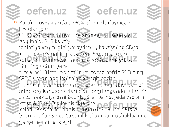 
Yurak mushaklarida SERCA ishini bloklaydigan 
fosfolamban  
(PLB) deb nomlanuvchi oqsil mavjud . Kanalga 
bog'lanib, PLB kaltsiy 
ionlariga yaqinligini pasaytiradi , kaltsiyning SRga 
kirishiga to'sqinlik qiladi. Agar SRdagi sitozoldan 
kaltsiy chiqarilmasa, mushak bo'shashmaydi va 
shuning uchun yana 
qisqaradi. Biroq, epinefrin va norepinefrin PLB ning 
SERCA bilan bog'lanishiga xalaqit berishi 
mumkin. Ular hujayra membranasida joylashgan b1-
adrenergik retseptorlari bilan bog'langanda , ular bir 
qator reaktsiyalarni boshlaydilar va natijada protein 
kinaz A (PKA) faollashishiga olib 
keladi. PKA fosforillanishi mumkinPLB, uni SERCA 
bilan bog'lanishiga to'sqinlik qiladi va mushaklarning 
gevşemesini tetiklaydi      