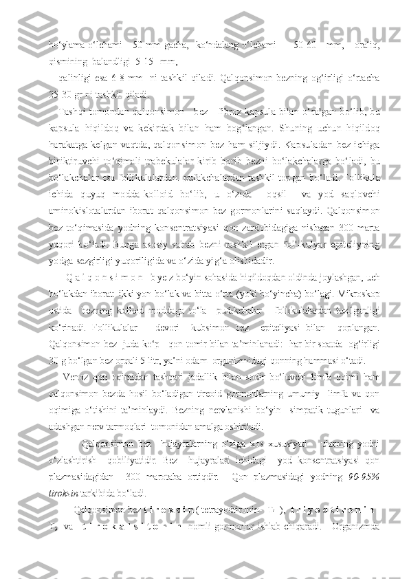 b o‘ ylama   o‘ lchami       50   mm   gacha,     k o‘ ndalang   o‘ lchami     -     50-60       mm,       orali q ,
q ismining  balandligi  5-15   mm,
q alinligi   esa   6-8   mm     ni   tashkil   q iladi.   Q al q onsimon   bezning   o g‘ irligi   o‘ rtacha
25-30 gr ni tashkil  q iladi.
Tash q i  tomondan   q al q onsimon       bez       fibroz  kapsula  bilan   o‘ ralgan   b o‘ lib,   bu
kapsula   hiqil do q   va   kekirdak   bilan   h am   bo g‘ langan.   Shuning   uchun   h i q ildo q
h arakatga  kelgan  va q tda,   q al q onsimon   bez   h am   siljiydi.   Kapsuladan   bez   ichiga
biriktiruvchi   t o‘q imali   trabekulalar   kirib   borib   bezni   b o‘ lakchalarga   b o‘ ladi,   bu
b o‘ lakchalar   esa   follikulalardan.   pufakchalardan   tashkil   top g an   b o‘ ladi.   Follikula
ichida   q uyu q   modda-k o lloid   b o‘ lib,   u   o‘ zida     o q sil     va   yod   sa q lovchi
aminokislotalardan   iborat   q al q onsimon   bez   g o rmonlarini   sa q laydi.   Q al q onsimon
bez   t o‘q imasida   yodning   konsentratsiyasi   q on   zardobidagiga   nisbatan   300   marta
yu q ori   b o‘ ladi.   Bunga   asosiy   sabab   bezni   tashkil   etgan   follikulyar   epiteliyning
yodga  sezgirligi yu q oriligida va  o‘ zida yi g‘ a olishidadir.
    Q a l  q  o n s i m o n   b ye z b o‘ yin sohasida  h i q ildo q dan oldinda joylashgan,   uch
bo‘lakdan iborat: ikki   yo n bo‘lak va bitta o‘rta ( yo ki b o‘ yincha) bo‘lagi. Mikroskop
ostida     bezning   kolloid   moddaga   t o‘ la     pufakchalar   -   follikulalardan   tuzilganligi
k o‘ rinadi.   Follikulalar       devori     kubsimon   bez     epiteliyasi   bilan     q oplangan.
Qa l q onsimon bez   juda ko‘p      qon  tomir  bilan ta’minlanadi:  har bir soatda  o g‘ irligi
30   g bo‘lgan bez orqali 5 litr,   ya’ni odam  organizmidagi  q onning  h ammasi o‘tadi. 
  Venoz   qon   o q imidan   tashqari   jadallik   bilan   sodir   b o‘ luvchi   limfa   o q imi   ham
q al q onsimon   bezda   hosil   bo‘ladigan   tireoid   gormonlarning   umumiy     limfa   va   qon
o q imiga   o‘ tishini   ta’minlaydi.   Bezning   nervlanishi   b o‘ yin     simpatik   tugunlari     va
adashgan nerv tarmo q lari  tomonidan amalga oshiriladi.
          Q al q onsimon   bez     hujayralarning   o‘ziga   xos   xususiyati       ularning   yodni
o‘ zlashtirish     qobiliyatidir.   Bez     hujayralari   ichidagi     yod   konsentratsiyasi   qon
plazmasidagidan     300   marotaba   ortiqdir.     Qon   plazmasidagi   yodning   90-95%
tiroksin  tarkibida bo‘ladi.
       Q al q onsimon bez  t i r o k s i n  ( tetrayodtironin-  T
4   ),    t r i y o d t i r o n i n -
T
3     va      t i r o k a l  s i t o n i n     nomli gormonlar  ishlab chiqaradi.     Organizmda 