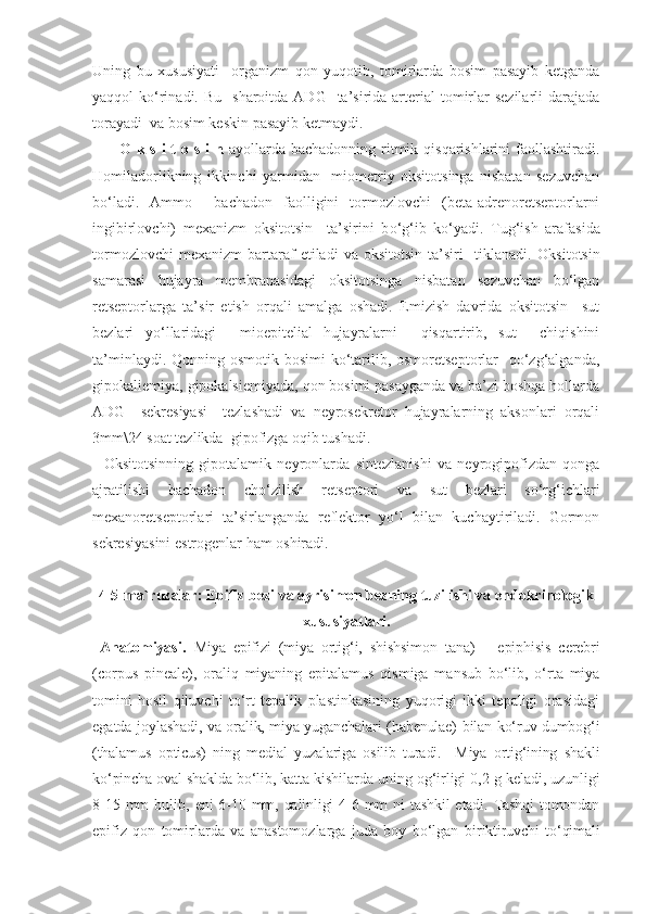 Uning   bu   xususiyati     organizm   qon   yuqotib,   tomirlarda   bosim   pasayib   ketganda
yaqqol  ko‘rinadi.   Bu   sharoitda  ADG   ta’sirida arterial  tomirlar   sezilarli   darajada
torayadi  va bosim keskin pasayib ketmaydi.
          O  k s i  t  o s i  n   a yo llarda  bachadonning ritmik qisqarishlarini  faollashtiradi.
H omiladorlikning   ikkinchi   yarmidan     miometriy   oksitotsinga   nisbatan   sezuvchan
bo‘ladi.   Ammo     bachadon   faolligini   tormozlovchi   (beta-adrenoretseptorlarni
ingibirlovchi)   mexanizm   oksitotsin     ta’sirini   b o‘g‘ ib   k o‘ yadi.   Tu g‘ ish   arafasida
tormozlovchi   mexanizm   bartaraf   etiladi   va  oksitotsin   ta’siri     tiklanadi.   Oksitotsin
samarasi   hujayra   membranasidagi   oksitotsinga   nisbatan   sezuvchan   bo‘lgan
retseptorlarga   ta’sir   etish   orqali   amalga   oshadi.   Emizish   davrida   oksitotsin     sut
bezlari   yo‘llaridagi     mioepitelial   hujayralarni     qisqartirib,   sut     chiqishini
ta’minlaydi. Qonning osmotik bosimi  ko‘tarilib, osmoretseptorlar    qo‘zg‘alganda,
gipokaliemiya, gipokalsiemiyada, qon bosimi pasayganda va ba’zi boshqa hollarda
ADG     sekresiyasi     tezlashadi   va   neyrosekretor   hujayralarning   aksonlari   orqali
3mm\24 soat tezlikda  gipofizga oqib tushadi. 
    Oksitotsinning   gipotalamik   neyronlarda   sintezlanishi   va   neyrogipofizdan   qonga
ajratilishi   bachadon   cho‘zilish   retseptori   va   sut   bezlari   so‘rg‘ichlari
mexanoretseptorlari   ta’sirlanganda   reflektor   yo‘l   bilan   kuchaytiriladi.   Gormon
sekresiyasini estrogenlar ham oshiradi.
4-5-ma`ruzalar: Epifiz bezi va ayrisimon bezning tuzilishi va endokrinologik
xususiyatlari. 
  Anatomiyasi.   Miya   epifizi   (miya   ortig‘i,   shishsimon   tana)   –   epiphisis   cerebri
(corpus   pineale),   oraliq   miyaning   epitalamus   qismiga   mansub   bo‘lib,   o‘rta   miya
tomini   hosil   qiluvchi   to‘rt   tepalik   plastinkasining   yuqorigi   ikki   tepaligi   orasidagi
egatda   joylashadi, va oralik, miya yuganchalari (habenulae) bilan ko‘ruv dumbog‘i
(thalamus   opticus)   ning   medial   yuzalariga   osilib   turadi.     Miya   ortig‘ining   shakli
ko‘pincha oval shaklda bo‘lib, katta  kishilarda uning og‘irligi 0,2 g keladi, uzunligi
8-15  mm  bulib,   eni  6-10 mm, qalinligi  4-6 mm  ni  tashkil  etadi. Tashqi  tomondan
epifiz   qon   tomirlarda   va   anastomozlarga   juda   boy   bo‘lgan   biriktiruvchi   to‘qimali 