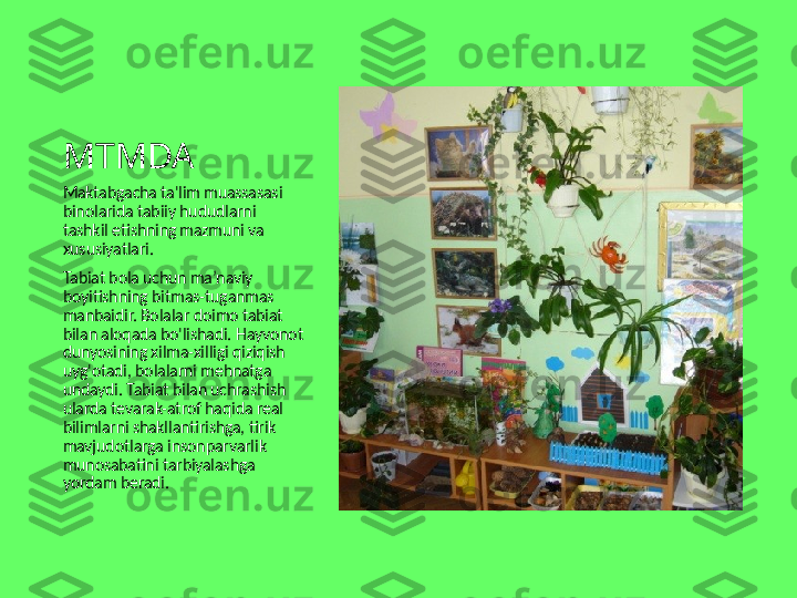 MTMDA
Maktabgacha ta'lim muassasasi 
binolarida tabiiy hududlarni 
tashkil etishning mazmuni va 
xususiyatlari.
Tabiat bola uchun ma’naviy 
boyitishning bitmas-tuganmas 
manbaidir. Bolalar doimo tabiat 
bilan aloqada bo'lishadi. Hayvonot 
dunyosining xilma-xilligi qiziqish 
uyg'otadi, bolalarni mehnatga 
undaydi. Tabiat bilan uchrashish 
ularda tevarak-atrof haqida real 
bilimlarni shakllantirishga, tirik 
mavjudotlarga insonparvarlik 
munosabatini tarbiyalashga 
yordam beradi. 