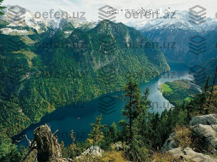 Germaniya alpi 