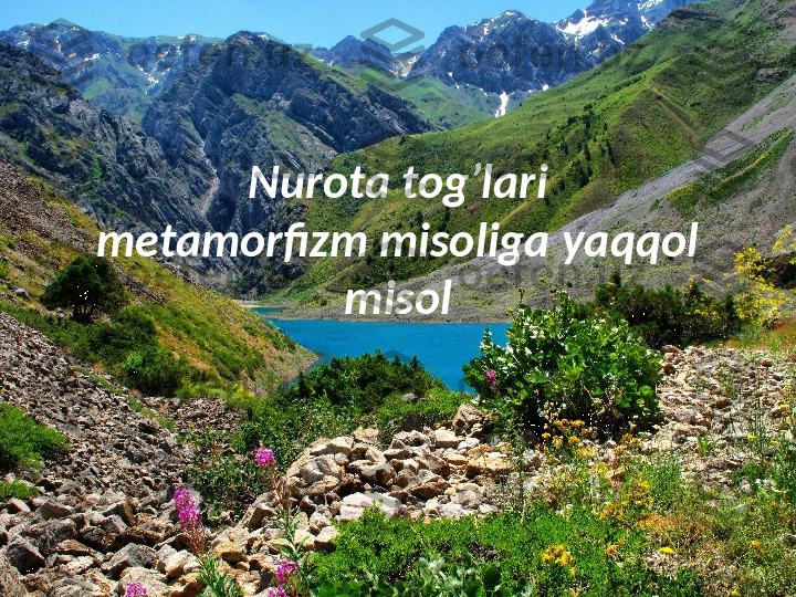 Nurota tog’lari
metamorfizm misoliga yaqqol 
misol 