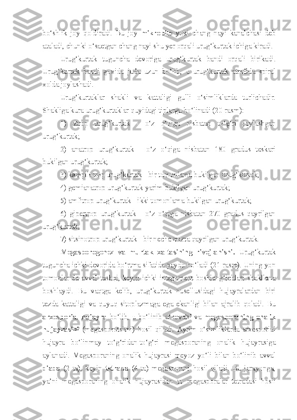 bo‘shlik   joy   qoldiradi.   Bu   joy   mikropile   yoki   chang   nayi   kanalchasi   deb
ataladi, chunki o‘saetgan chang nayi shu yer orqali urug‘kurtak ichiga kiradi. 
Urug‘kurtak   tuguncha   devoriga   urug‘kurtak   bandi   orqali   birikadi.
Urug‘kurtak   bandi   goxida   juda   uzun   bo‘lib,   u   urug‘kurtak   atrofida   spiral
xolda joylashadi. 
Urug‘kurtaklar   shakli   va   kattaligi   gulli   o‘simliklarda   turlichadir.
Shakliga kura urug‘kurtaklar quyidagi tiplarga bo‘linadi (20-rasm): 
1)   atrop   urug‘kurtak   -   o‘z   o‘qiga   nisbatan   to‘g‘ri   joylashgan
urug‘kurtak; 
2)   anatrop   urug‘kurtak   -   o‘z   o‘qiga   nisbatan   180   gradus   teskari
bukilgan urug‘kurtak; 
3) kampilotrop urug‘kurtak - bir tomonlama bukilgan urug‘kurtak; 
4) gemianatrop urug‘kurtak-yarim bukilgan urug‘kurtak; 
5) amfitrop urug‘kurtak - ikki tomonlama bukilgan urug‘kurtak; 
6)   gipertrop   urug‘kurtak   -   o‘z   o‘qiga   nisbatan   270   gradus   qayrilgan
urug‘kurtak; 
7) sitsinotrop urug‘kurtak - bir necha marta qayrilgan urug‘kurtak. 
Megasporogenez   va   murtak   xaltasining   rivojlanishi .   Urug‘kurtak
tuguncha ichki devorida bo‘rtma sifatida paydo bo‘ladi (21-rasm). Uning yon
tomonlarida   avval   tashqi,   keyin   ichki   integument   boshlang‘ichlari   shakllana
boshlaydi.   Bu   vaqtga   kelib,   urug‘kurtak   nusellusidagi   hujayralardan   biri
tezda   kattaligi   va   quyuq   sitoplazmaga   ega   ekanligi   bilan   ajralib   qoladi.   Bu
arxesporial   hujayra   bo‘lib,   u   bo‘linib   o‘rovchi   va   megasporaning   onalik
hujayrasini   (megasporotsitni)   hosil   qiladi.   Ayrim   o‘simliklarda   arxesporial
hujayra   bo‘linmay   to‘g‘ridan-to‘g‘ri   megasporaning   onalik   hujayrasiga
aylanadi.   Megasporaning   onalik   hujayrasi   meyoz   yo‘li   bilan   bo‘linib   avval
diada   (2   ta),   keyin   tetrada   (4   ta)   megasporani   hosil   qiladi.   Bu   jarayonga,
ya’ni   megasporaning   onalik   hujayrasidan   to   megasporalar   tetradasi   hosil 