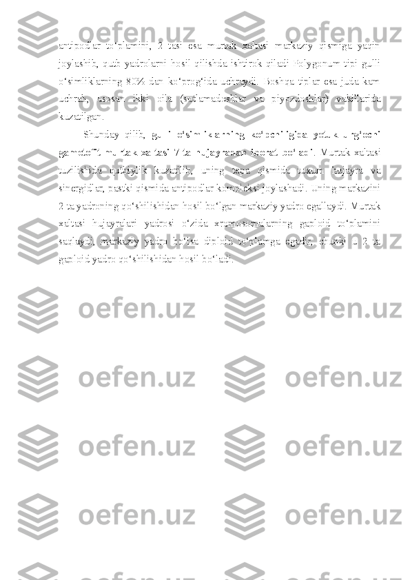 antipodlar   to‘plamini,   2   tasi   esa   murtak   xaltasi   markaziy   qismiga   yaqin
joylashib,  qutb  yadrolarni  hosil  qilishda ishtirok qiladi Polygonum tipi  gulli
o‘simliklarning   80%   dan   ko‘prog‘ida   uchraydi.   Boshqa   tiplar   esa   juda   kam
uchrab,   asosan   ikki   oila   (sutlamadoshlar   va   piyozdoshlar)   vakillarida
kuzatilgan. 
Shunday   qilib,   gulli   o‘simliklarning   ko‘pchiligida   yetuk   urg‘ochi
gametofit-murtak   xaltasi   7   ta   hujayradan   iborat   bo‘ladi .   Murtak   xaltasi
tuzilishida   qutbiylik   kuzatilib,   uning   tepa   qismida   tuxum   hujayra   va
sinergidlar, pastki qismida antipodlar kompleksi joylashadi. Uning markazini
2 ta yadroning qo‘shilishidan hosil bo‘lgan markaziy yadro egallaydi. Murtak
xaltasi   hujayralari   yadrosi   o‘zida   xromosomalarning   gaploid   to‘plamini
saqlaydi,   markaziy   yadro   bo‘lsa   diploid   to‘plamga   egadir,   chunki   u   2   ta
gaploid yadro qo‘shilishidan hosil bo‘ladi. 