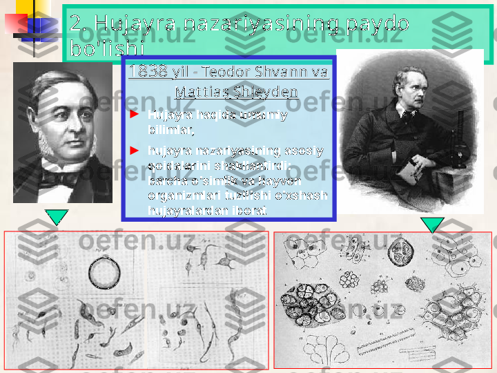 2. Hujay ra nazariy asining pay do 
bo'lishi
1838  y il - Teodor Shv ann v a 
Mat t ias Shley den  
►
Hujayra haqida umumiy 
bilimlar,
►
hujayra nazariyasining asosiy 
qoidalarini shakllantirdi: 
barcha o'simlik va hayvon 
organizmlari tuzilishi o'xshash 
hujayralardan iborat   