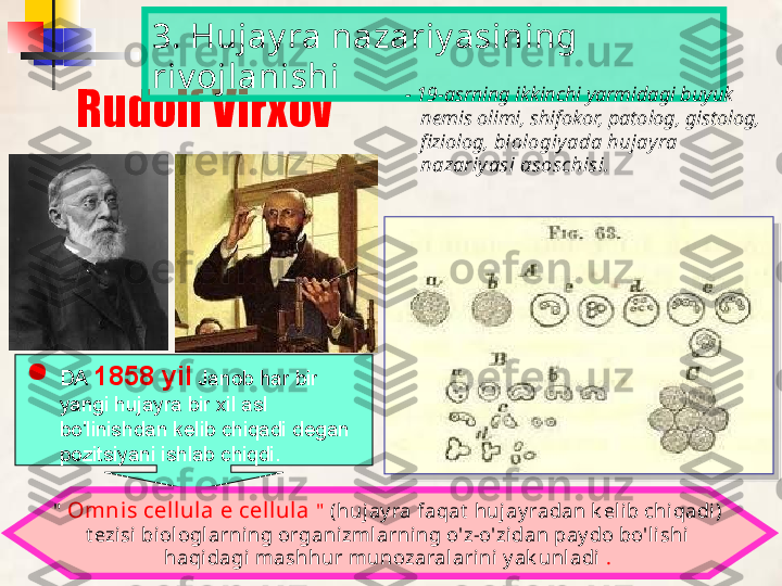 Rudolf Virxov
"   Omnis cel lula e cel lula  "   (hujay ra faqat  huj ay radan k eli b chiqadi) 
t ezisi biologl arning organizmlarning o'z-o'zidan pay do bo'lishi 
haqidagi  mashhur munozaralarini y ak unl adi  .3. Hujay ra nazariy asining 
riv ojlanishi
- 19-asrning ikkinchi yarmidagi buyuk 
nemis olimi, shifokor, patolog, gistolog, 
fiziolog,  biologiyada hujayra 
nazariy asi asoschisi.

DA   1858 yil   Janob har bir 
yangi hujayra bir xil asl 
bo'linishdan kelib chiqadi degan 
pozitsiyani ishlab chiqdi.   