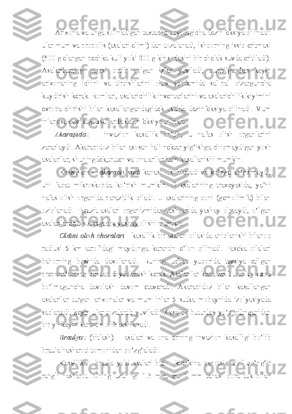 Arixona va unga solinadigan taxtacha quyidagicha dezinfeksiya qilinadi:
ular mum va propolis (asalari elimi) dan tozalanadi, ishqorning issiq eritmasi
(600 g elangan pechka kuli yoki 200 g kir sodasini bir chelak suvda eritiladi).
Asalarilarning   najasi   qotib   qolgan   izlar   yuviladi,   quritilgandan   keyin
arixonaning   ichini   va   tirqishlarini   olov   yordamida   sal-pal   qizarguncha
kuydirish kerak. Romlari, asalarichilik inventarlarini va asalarichilik kiyimini
evropa chirishi bilan kasallangandagidek usulda dezinfeksiya qilinadi. Mum
inlar esa quyidagi usullarda dezinfeksiya qilinadi.
Akarapidoz   –   invazion   kasallik   bo‘lib,   u   nafas   olish   organlarini
zararlaydi. Akarapidoz bilan asosan hali nektar yig‘ishga chiqmaydigan yosh
asalarilar, shuningdek,truten va ona arilar ham kasallanishi mumkin. 
Kasallikni   -    akarapis vudi   kanasi hisoblanadi va ko‘zga ko‘rinmaydi,
uni   faqat   mikroskopda   ko‘rish   mumkin.   U   asalarining   traxeyasida,   ya’ni
nafas   olish   organida   parazitlik   qiladi.   U   asalarining   qoni   (gemolimfa)   bilan
oziqlanadi.   Parazit   asalari   organizmidan   tashqarida   yashay   olmaydi,   o‘lgan
asalarilarda 5 sutkagacha yashay olishi mumkin.  
Oldini olish choralari   - kasallik bir asalari oilasida aniqlanishi bilanoq
radiusi   5   km   atrofidagi   maydonga   karantin   e’lon   qilinadi.   Paseka   oilalari
bahorning   boshida   davolanadi.   Buning   uchun   yuqorida   tavsiya   etilgan
preparatlarning biridan foydalanish kerak. Asalarilar kanadan butunlay ozod
bo‘lmaguncha   davolash   davom   etaveradi.   Akarapidoz   bilan   kasallangan
asalarilar   turgan   arixonalar   va   mum   inlar   5   sutka   mobaynida   izolyasiyada
saqlanadi, keyin ular tozalanib yuviladi. Kasallik butunlay yo‘q qilinganidan
bir yil keyin karantin olib tashlanadi. 
Braulyoz   (bitlash)   –   asalari   va   ona   arining   invazion   kasalligi   bo‘lib
braula hasharoti tomonidan qo‘zg‘aladi.
Kasalli kni-   braula   yoki   asalari   biti   –   kichkina   qanotsiz   qizil-qo‘ng‘ir
rangli   hasharot.   Uning   uzunligi   1.3   mm,   eni   1   mm   tanasi   qora   tuk   bilan 