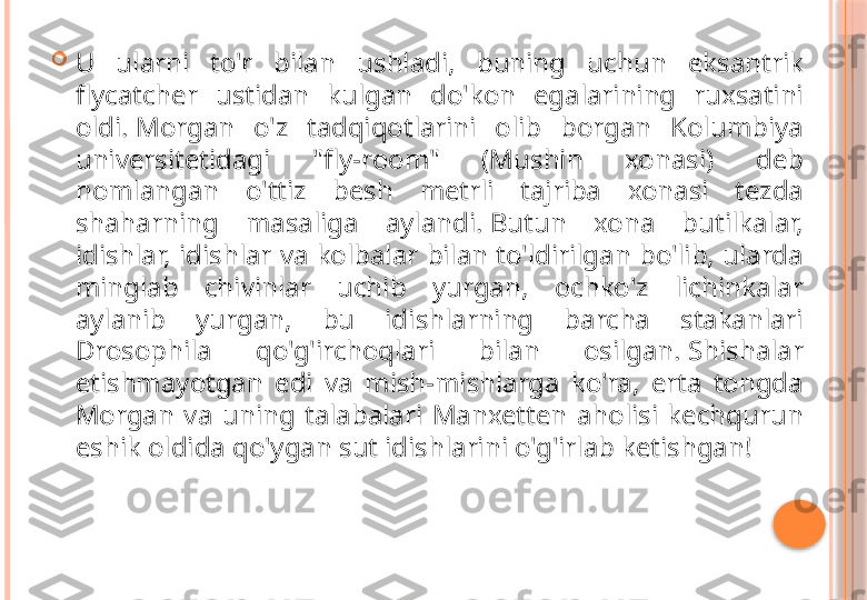 
U  ularni  to'r  bilan  ushladi,  buning  uchun  eksantrik 
flycatcher  ustidan  kulgan  do'kon  egalarining  ruxsatini 
oldi. Morgan  o'z  tadqiqotlarini  olib  borgan  Kolumbiya 
universitetidagi  "fly-room"  (Mushin  xonasi)  deb 
nomlangan  o'ttiz  besh  metrli  tajriba  xonasi  tezda 
shaharning  masaliga  aylandi. Butun  xona  butilkalar, 
idishlar, idishlar  va kolbalar  bilan to'ldirilgan  bo'lib,  ularda 
minglab  chivinlar  uchib  yurgan,  ochko'z  lichinkalar 
aylanib  yurgan,  bu  idishlarning  barcha  stakanlari 
Drosophila  qo'g'irchoqlari  bilan  osilgan. Shishalar 
etishmayotgan  edi  va  mish-mishlarga  ko'ra,  erta  tongda 
Morgan  va  uning  talabalari  Manxetten  aholisi  kechqurun 
eshik oldida qo'ygan sut idishlarini o'g'irlab ketishgan!     