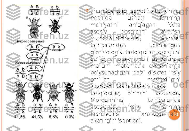 
Shunday qilib, genetika tarixining 
boshida  ushbu  fanning 
mohiyatini  aniqlagan  ikkita 
asosiy  bosqichni  ajratish 
mumkin. Birinchisi,  Mendel 
tajribalaridan  boshlangan 
gibridologik  tadqiqotlar  bosqichi 
bo'lib,  u  ota-onadan  avlodlarga 
ma'lum  matematik  qonunlarga 
bo'ysunadigan  ba'zi  diskret  irsiy 
omillar  mavjudligini 
isbotladi. Ikkinchisi-sitologik 
tadqiqotlar,  birinchi  navbatda, 
Morganning  tajribalariga 
asoslanib,  irsiy  omillarning 
tashuvchisi  xromosomalar 
ekanligini isbotladi.     