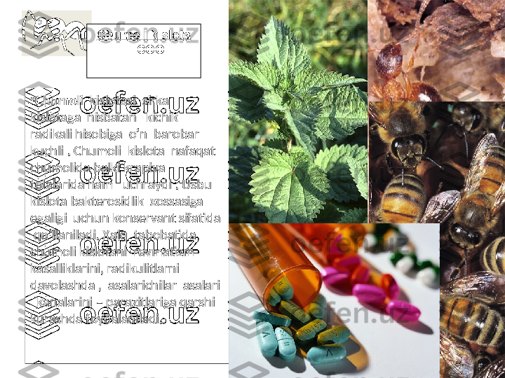 •
Chumoli   kislotasi  sirka  
kislotaga  nisbatan   kichik  
radikali hisobiga  o’n  barobar  
kuchli . Chumoli  kislota  nafaqat  
chumolida balki krapiva  
tolalarida ham   uchraydi  .  Usbu  
kislota bakterosidlik  xossasiga 
egaligi  uchun konservant sifatida 
 qo’llaniladi .  Xalq  tabobatida  
chumoli kislotani  revmatizm 
kasalliklarini, radikulitlarni  
davolashda  ,   asalarichilar  asalari  
    kanalarini  –  parazitlariga qarshi 
kurashda foydalaniladi .Chumoli kislota
Н –  COOH
                  