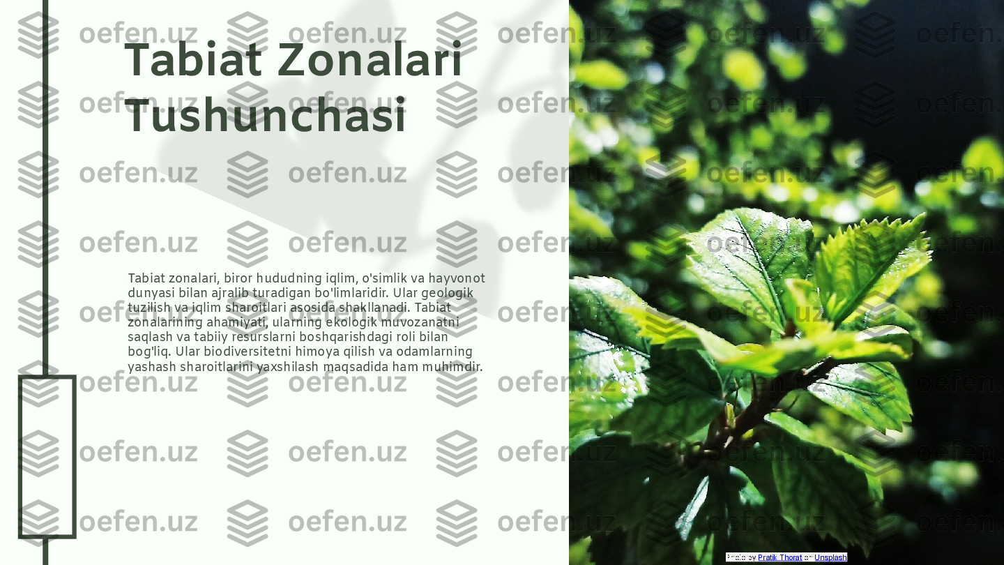 0
4
.2
6
.2
4Tabiat Zonalari 
Tushunchasi
Tabiat zonalari, biror hududning iqlim, o'simlik va hayvonot 
dunyasi bilan ajralib turadigan bo'limlaridir. Ular geologik 
tuzilish va iqlim sharoitlari asosida shakllanadi. Tabiat 
zonalarining ahamiyati, ularning ekologik muvozanatni 
saqlash va tabiiy resurslarni boshqarishdagi roli bilan 
bog'liq. Ular biodiversitetni himoya qilish va odamlarning 
yashash sharoitlarini yaxshilash maqsadida ham muhimdir.
Photo by  Pratik Thorat  on  Unsplash  