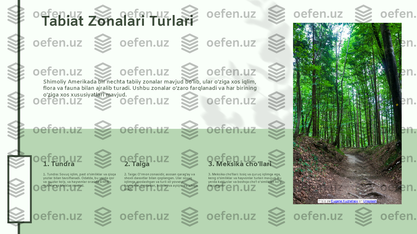 0
4
.2
6
.2
4
0
4
.2
6
.2
4Tabiat Zonalari Turlari
Shimoliy Amerikada bir nechta tabiiy zonalar mavjud bo'lib, ular o'ziga xos iqlim, 
flora va fauna bilan ajralib turadi. Ushbu zonalar o'zaro farqlanadi va har birining 
o'ziga xos xususiyatlari mavjud.
1. Tundra: Sovuq iqlim, past o'simliklar va qisqa 
yozlar bilan tavsiflanadi. Odatda, bu yerda qor 
va muzlar ko'p, va hayvonlar orasida arktik 
qushlar va kiyiklar mavjud.1. Tundra
2. Taiga: O'rmon zonasidir, asosan qarag'ay va 
shoxli daraxtlar bilan qoplangan. Ular sovuq 
iqlimga moslashgan va turli xil yovvoyi 
hayvonlar, jumladan, bo'rilar va ayiqni o'z ichiga 
oladi.2. Taiga
3. Meksika cho'llari: Issiq va quruq iqlimga ega, 
keng o'simliklar va hayvonlar turlari mavjud. Bu 
yerda kaktuslar va boshqa cho'l o'simliklari ko'p 
tarqalgan.3. Meksika cho'llari
Photo by  Eugene Kuznetsov  on  Unsplash  