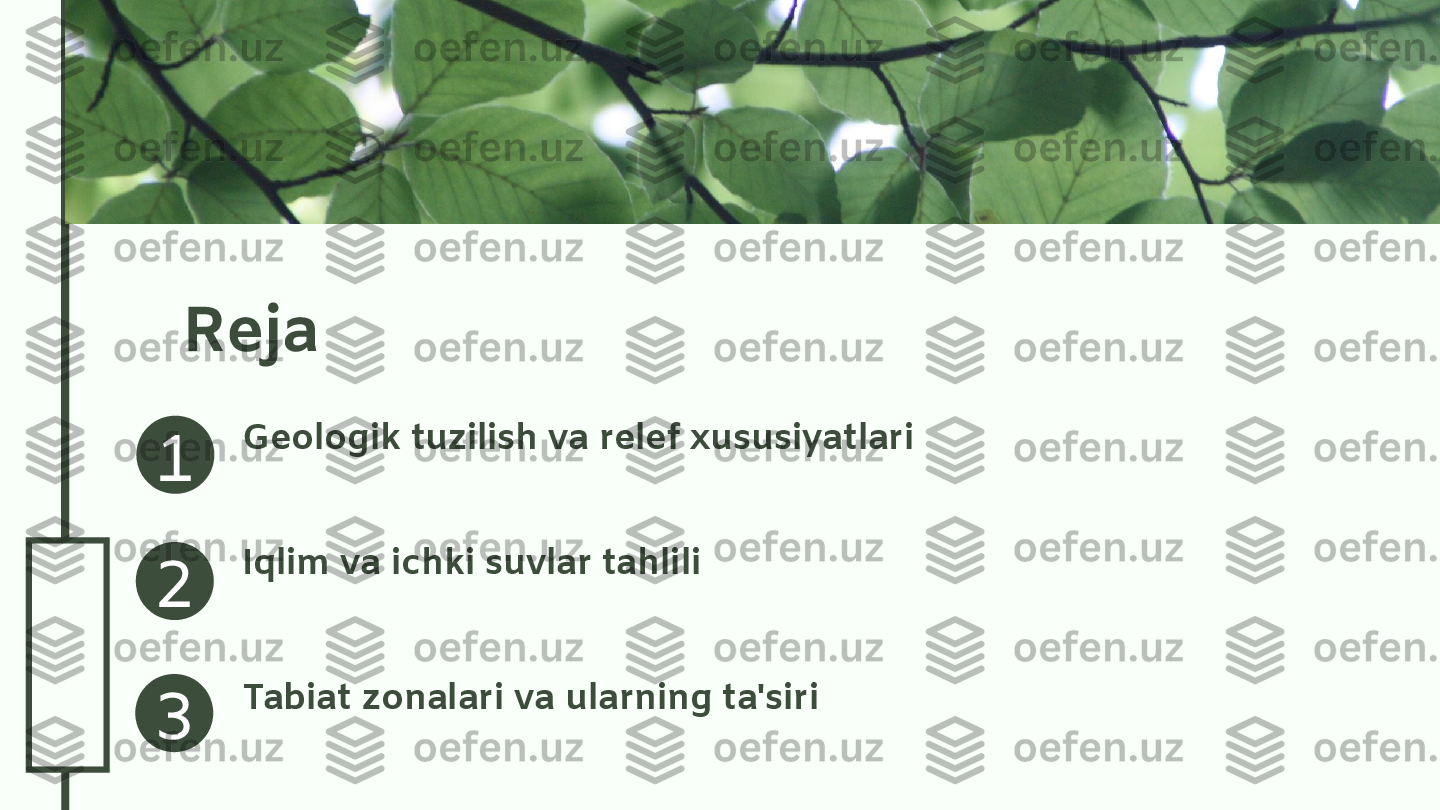 0
4
.2
6
.2
41
2
3 Reja
Geologik tuzilish va relef xususiyatlari
Iqlim va ichki suvlar tahlili
Tabiat zonalari va ularning ta'siri 