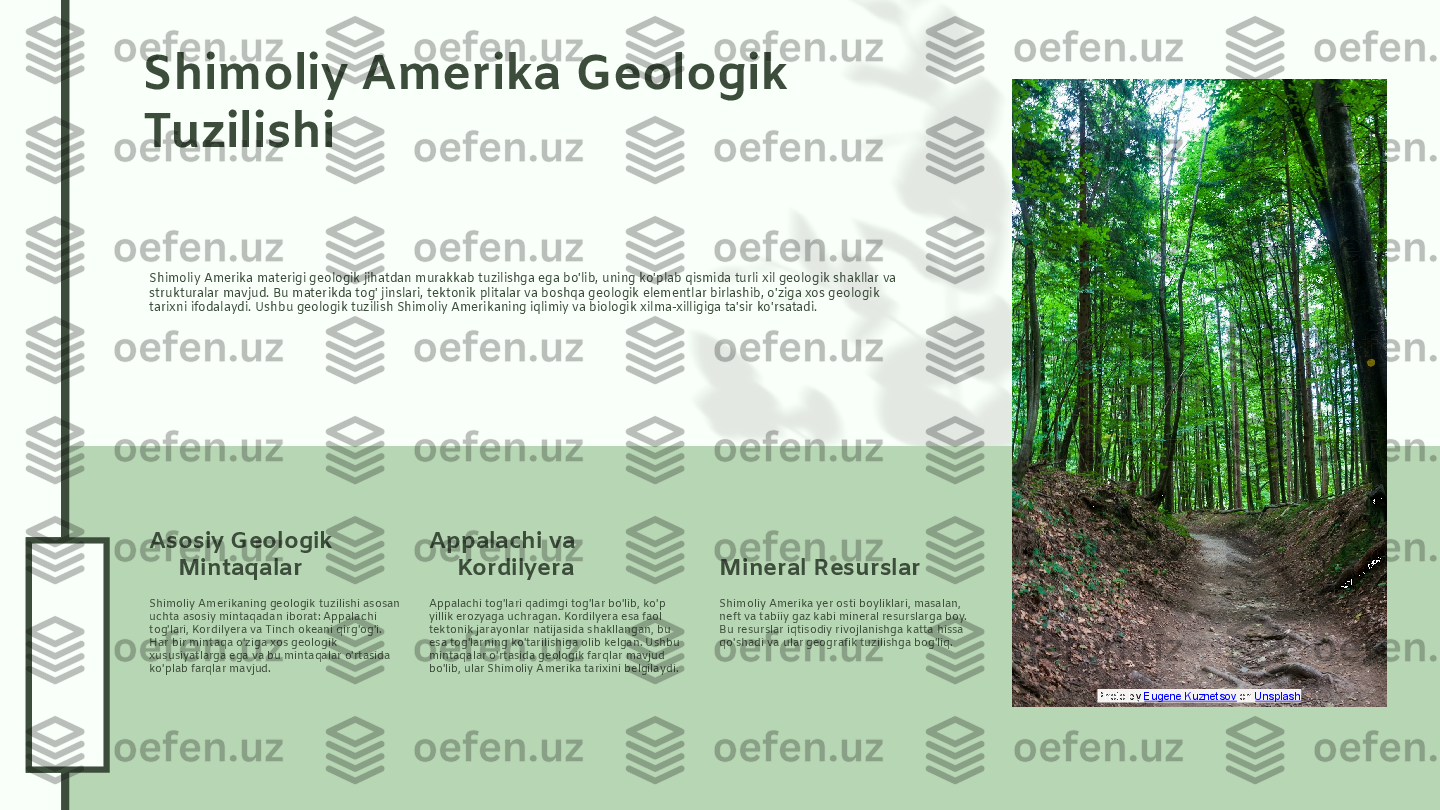 0
4
.2
6
.2
4
0
4
.2
6
.2
4Shimoliy Amerika Geologik 
Tuzilishi
Shimoliy Amerika materigi geologik jihatdan murakkab tuzilishga ega bo'lib, uning ko'plab qismida turli xil geologik shakllar va 
strukturalar mavjud. Bu materikda tog' jinslari, tektonik plitalar va boshqa geologik elementlar birlashib, o'ziga xos geologik 
tarixni ifodalaydi. Ushbu geologik tuzilish Shimoliy Amerikaning iqlimiy va biologik xilma-xilligiga ta'sir ko'rsatadi.
Shimoliy Amerikaning geologik tuzilishi asosan 
uchta asosiy mintaqadan iborat: Appalachi 
tog'lari, Kordilyera va Tinch okeani qirg'og'i. 
Har bir mintaqa o'ziga xos geologik 
xususiyatlarga ega va bu mintaqalar o'rtasida 
ko'plab farqlar mavjud.Asosiy Geologik 
Mintaqalar
Appalachi tog'lari qadimgi tog'lar bo'lib, ko'p 
yillik erozyaga uchragan. Kordilyera esa faol 
tektonik jarayonlar natijasida shakllangan, bu 
esa tog'larning ko'tarilishiga olib kelgan. Ushbu 
mintaqalar o'rtasida geologik farqlar mavjud 
bo'lib, ular Shimoliy Amerika tarixini belgilaydi.Appalachi va 
Kordilyera
Shimoliy Amerika yer osti boyliklari, masalan, 
neft va tabiiy gaz kabi mineral resurslarga boy. 
Bu resurslar iqtisodiy rivojlanishga katta hissa 
qo'shadi va ular geografik tuzilishga bog'liq.Mineral Resurslar
Photo by  Eugene Kuznetsov  on  Unsplash  