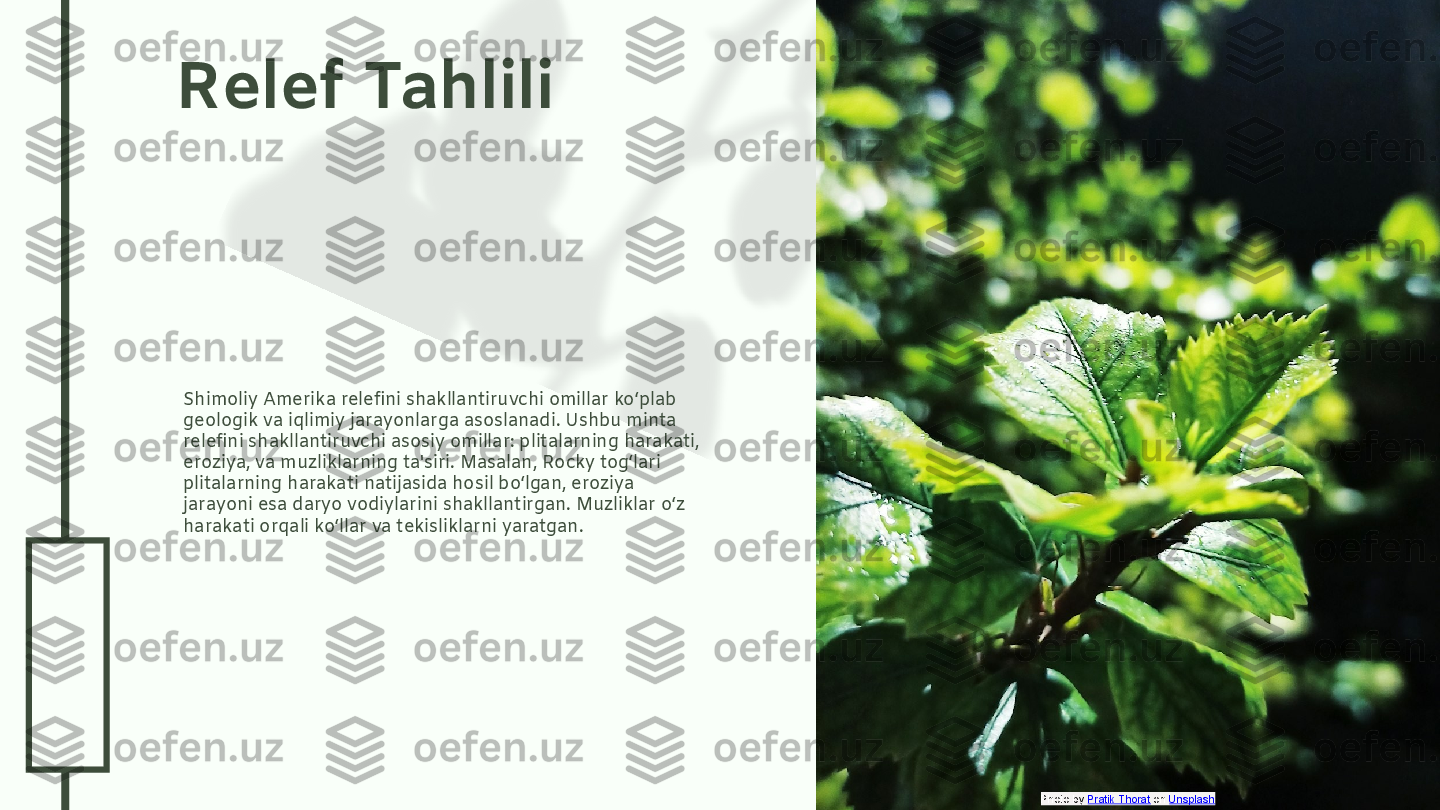 0
4
.2
6
.2
4Relef Tahlili
Shimoliy Amerika relefini shakllantiruvchi omillar ko‘plab 
geologik va iqlimiy jarayonlarga asoslanadi. Ushbu minta 
relefini shakllantiruvchi asosiy omillar: plitalarning harakati, 
eroziya, va muzliklarning ta'siri. Masalan, Rocky tog‘lari 
plitalarning harakati natijasida hosil bo‘lgan, eroziya 
jarayoni esa daryo vodiylarini shakllantirgan. Muzliklar o‘z 
harakati orqali ko‘llar va tekisliklarni yaratgan.
Photo by  Pratik Thorat  on  Unsplash  