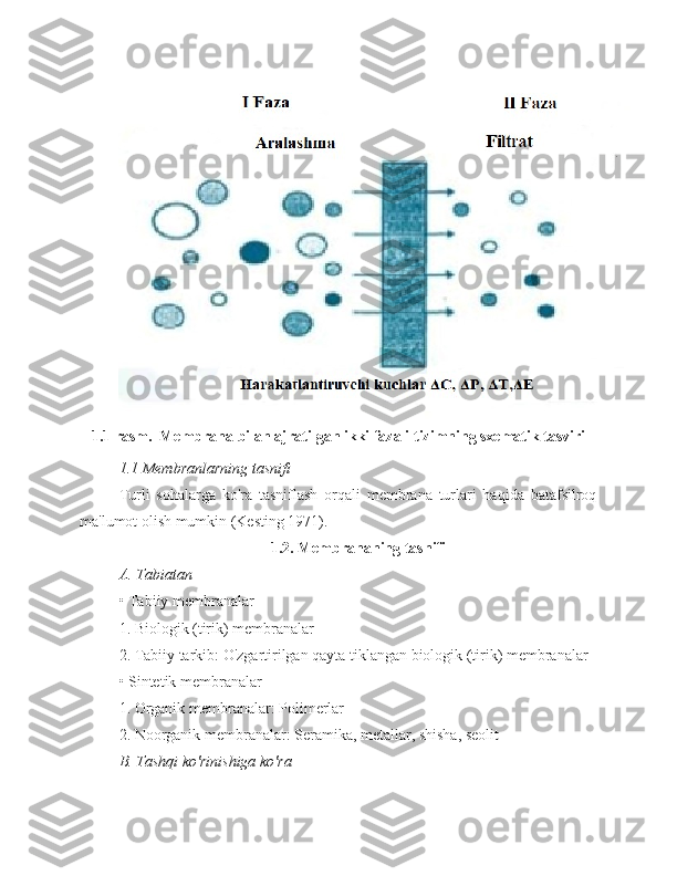 1.1 rasm.  Membrana bilan ajratilgan ikki fazali tizimning sxematik tasviri
1.1 Membranlarning tasnifi
Turli   sohalarga   ko'ra   tasniflash   orqali   membrana   turlari   haqida   batafsilroq
ma'lumot olish mumkin (Kesting 1971).
1.2. Membrananing tasnifi
A. Tabiatan
• Tabiiy membranalar
1. Biologik (tirik) membranalar
2. Tabiiy tarkib: O'zgartirilgan qayta tiklangan biologik (tirik) membranalar
• Sintetik membranalar
1. Organik membranalar: Polimerlar
2. Noorganik membranalar: Seramika, metallar, shisha, seolit
B. Tashqi ko'rinishiga ko'ra 