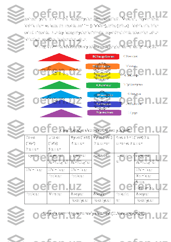 tashqari   yana   qo‘shimcha   kategoriyalar   ham   ishlatiladi.   Masalan,   hayvonlarda
kichik olam va katta tip orasida   bo‘lim ( division ),   triba ( tribus ) –kichik oila bilan
avlod o‘rtasida.  Bunday kategoriyalar  ko‘pincha qaysidir  alohida taksonlar  uchun
ishlatiladi, masalan, hasharotlar uchun. 
Biologik tizimida sakkizta asosiy taksonomik ranglar ketma-ketligi mavjud:
Klassifikatsiya sistemasining evolyusiyasi
Gekkel 
(1894)
3 ta olam Uitteker 
(1969)
5 ta olam Vyoze (1977)
 6 ta olam Vyoze (1990)
 3 ta domen Kovale-Smit (1998) 2 ta 
domen va 7 ta olam
Hayvonlar Hayvonlar Hayvonlar Eukariotlar Eukariot-
lar Hayvonlar
Zamburug‘lar Zamburug‘lar Zamburug‘lar
O‘simliklar O‘simliklar O‘simliklar O‘simliklar
Protistlar Protistlar Xromistlar
Sodda 
organizmlar
Protistlar Monerlar Arxeylar Arxeylar Prokariot-
lar Arxeylar
Bakteriyalar Bakteriyalar Bakteriyalar
Organik olamning zamonaviy sistemasi (O.Mavlonov,2018): 