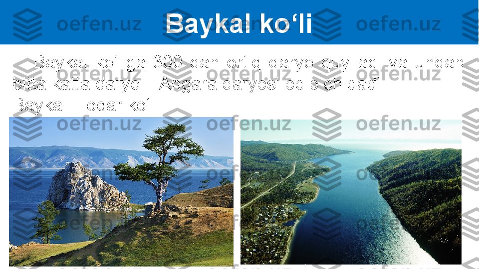 Baykal ko‘li
      Baykal  ko‘liga  300  dan  ortiq  daryo  quyiladi  va  undan 
bitta katta daryo – Angara daryosi oqib chiqadi. 
Baykal – oqar ko‘l.   