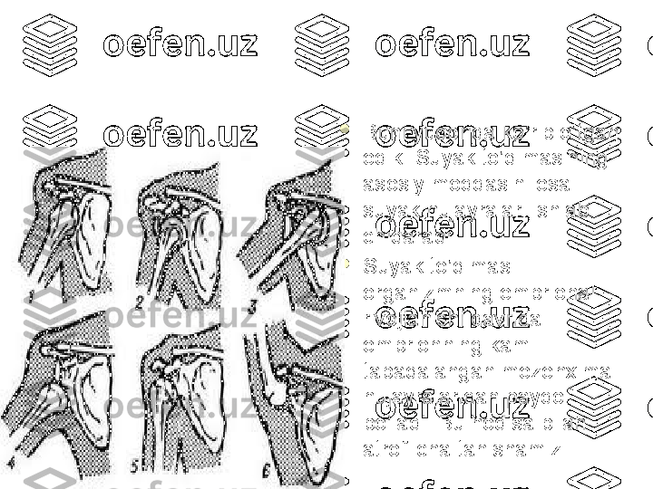 
Buni yuqorida ko’rib o’tgan 
edik. Suyak to’qimasining 
asosiy moddasini esa 
suyak hujayralari ishlab 
chiqaradi.

Suyak to’qimasi 
organizmning embrional 
rivojlanishi davrida 
embrionning kam 
tabaqalangan mezenxima 
hujayralaridan paydo 
bo’ladi. Bu hodisa bilan 
atroflicha tanishamiz. 