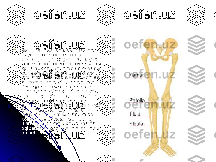 
Ma'lumki, dastlab plastinkasimon 
suyaklarga nisbatan oddiy 
tuzilishga ega bo’lgan daal suyak 
to’qimasi paydo bo’lib, so’ng u asta-
sekin suyak plastinkasiga aylanadi. 
Bungacha mezenximaning suyak 
to’qimasi hosil bo’ladigan qismidagi 
hujayralar shiddat bilan bo’linadi. 
Bo’lingan hujayralar bir-biridan 
uzoqlashib ketmay, qattiq birikma 
hosil qiladi.  Shu bilan bir vaqtda 
ular oraliida oshlanich hujay-
ralararo modda ham yiila boshlaydi. 
Shu moddadan keyinchalik 
tabaqalanish jarayoni natijasida 
kollagen tolachalar hosil bo’lib, 
ularning zichlashib qattiqlashishi 
oqibatida suyak plastinkalari hosil 
bo’ladi.   