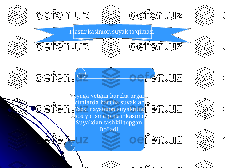 Plastinkasimon suyak to’qimasi 
Voyaga yetgan barcha organi-
Zimlarda barcha suyaklar 
Yassi naysimon suyakning
Asosiy qisma plastinkasimon
Suyakdan tashkil topgan 
Bo’ladi. 