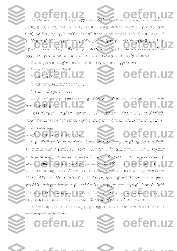 Daraxt   urug‘larini   ekishga   tayyorlash.   Ko‘p   daraxtlarning   urug‘lari,   masalan,
jo‘ka,   gilos,   olma,   nok,   do‘lana,   har   xil   turdagi   zarang,   shumtol,   yavora,   jiyda
(lox),   svidina,   irg‘ay,   beresklet,   har   xil   yong‘oq   va   boshqa   ko‘p   daraxt   urug‘lari
ko‘klamda alohida tayyorlanmay ekilsa, shu ekilgan yili unib chiqmaydi yoki juda
siyrak   chiqadi.   Urug‘ni   ekilgan   yili   tekis   unib   chiqishi   uchun,   avvalo,   alohida
tayyorlash yoki daraxtdan terib olinishi bilan kuzdayoq ekib qo‘yish kerak.
Odatda, daraxt urug‘lari ekish oldidan quyidagicha tayyorlanadi:
1. stratifikatsiya qilinadi;
2. suvda ivitiladi;
3. qaynoq suvga botirib olinadi;
4. skarifikatsiya qilinadi.
Urug‘larni   ekishga   tayyorlashning   ushbu   va   boshqa   usullari   birinchi   bo‘limda
batafsil yoritilgan.
Tayyorlangan   urug‘lar   aynan   ekish   oldidan   o‘rganiladi,   tekshiriladi.
Tekshirishda ishlov berilganda keyingi urug‘laming holati, aralashmadan ajratilish
holati kuzatiladi.
Urug‘ni ekish turlari va sxemalari
Sug‘oriladigan   ko‘chatzorlarda   daraxt   va   butalarning   urug‘i   egatlarga   ekiladi.
Ko‘chatlar   sug‘orilganda   suv   sekin   oqadigan   qilib   egat   olinadi.   Bunda   soyapar
ko‘chat   egatlarini   sharqdan   g‘arbga   tomon   olish   yaxshi   hisoblanadi.   Egatning
uzunligi   yerning   tuproq   xususiyatiga   qarab   100-150   m   qilinishi   zarur.   Bir   egat
bilan ikkinchi egat orasi 70 sm. Ekilish qatori, bir qatorli ekishda 1 ga maydonga
14280-16670   m.   Marza   balandligi   20-25   sm,   yuqorigi   eni   30   sm   sernam   yerni
yaxshi ko‘radagan daraxt urug‘larini (ipak akatsiya, chinor, qayrag‘och va shu kabi
boshqalar)   sepishda   egatlar   balandligi   10   -   12   sm   qilib   belgilanadi.   Bir   qatorli
ekishda ekilish qatori 4-5 sm enlikdan 20 sm enlikkacha bo‘lishi mumkin.
Birinchi egat  ip tortib olinadi, qolgan egatlar  shu birinchi  egatga parallel  qilib
marker yordamida olinadi. 