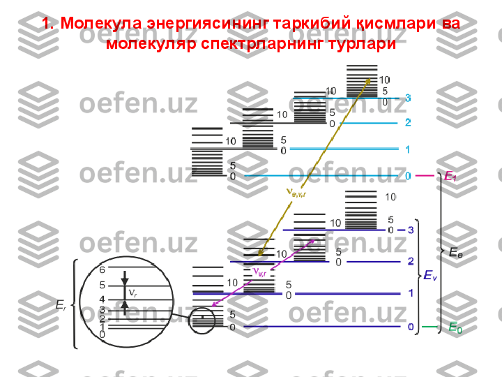 1.  Молекула энергиясининг таркибий қисмлари ва 
молекуляр спектрларнинг турлари 