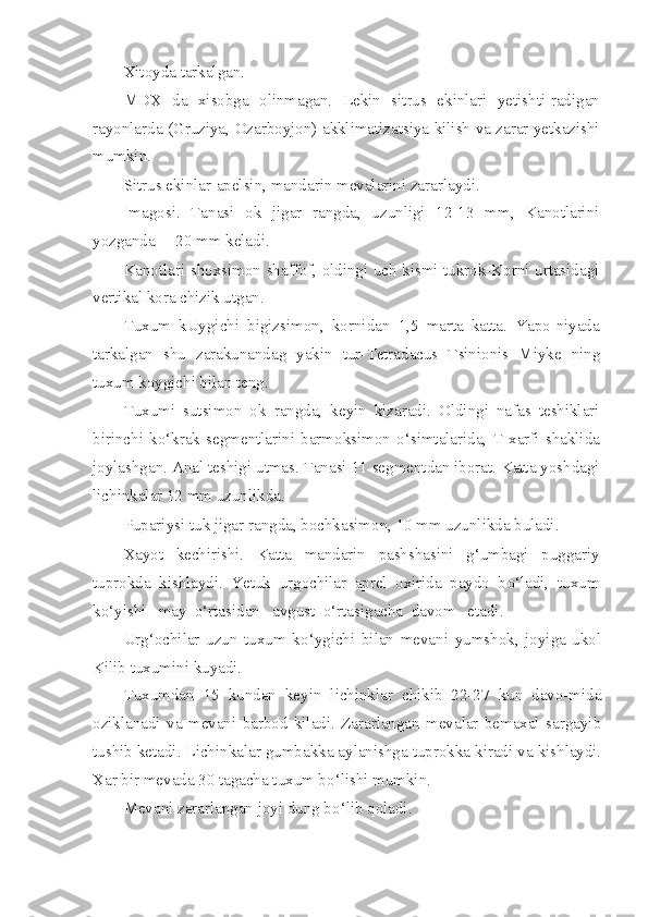 Xitoyda tarkalgan.
MDX   da   xisobga   olinmagan.   Lekin   sitrus   ekinlari   yetishti-radigan
rayonlarda (Gruziya, Ozarboyjon) akklimatizatsiya kilish va zarar yetkazishi
mumkin.
Sitrus ekinlar-apelsin, mandarin mevalarini zararlaydi.
Imagosi.   Tanasi   ok   jigar   rangda,   uzunligi   12-13   mm,   Kanotlarini
yozganda —20 mm keladi.
Kanotlari shoxsimon shaffof, oldingi uch kismi tukrok-Korni urtasidagi
vertikal kora chizik utgan.
Tuxum   kUygichi   bigizsimon,   kornidan   1,5   marta   katta.   Yapo-niyada
tarkalgan   shu   zarakunandag   yakin   tur- Tetradacus   Tsinionis   Miyke   ning
tuxum k o ygichi bilan teng.
Tuxumi   sutsimon   ok   rangda,   keyin   kizaradi.   Oldingi   nafas   teshiklari
birinchi   k o‘ krak   segmentlarini   barmoksimon   o‘ simtalarida,   T   xarfi   shaklida
joylashgan. Anal teshigi utmas. Tanasi 11 segmentdan iborat. Katta yoshdagi
lichinkalar 12 mm uzunlikda.
Pupariysi tuk jigar rangda, bochkasimon, 10 mm uzunlikda buladi.
Xayot   kechirishi.   Katta   mandarin   pashshasini   g‘ umbagi   puggariy
tuprokda   kishlaydi.   Yetuk   urgochilar   aprel   oxirida   paydo   b o‘ ladi,   tuxum
k o‘ yishi   may   o‘ rtasidan   avgust   o‘ rtasigacha  davom   etadi .
Ur g‘ ochilar   uzun   tuxum   k o‘ ygichi   bilan   mevani   yumshok,   joyiga   ukol
Kilib tuxumini kuyadi.
Tuxumdan   15   kundan   keyin   lichinklar   chikib   22-27   kun   davo-mida
oziklanadi   va   mevani   barbod   kiladi.   Zararlangan   mevalar   bemaxal   sargayib
tushib ketadi. Lichinkalar gumbakka aylanishga tuprokka kiradi va kishlaydi.
Xar bir mevada 30 tagacha tuxum b o‘ lishi mumkin.
Mevani zararlangan joyi dung b o‘ lib  q oladi. 