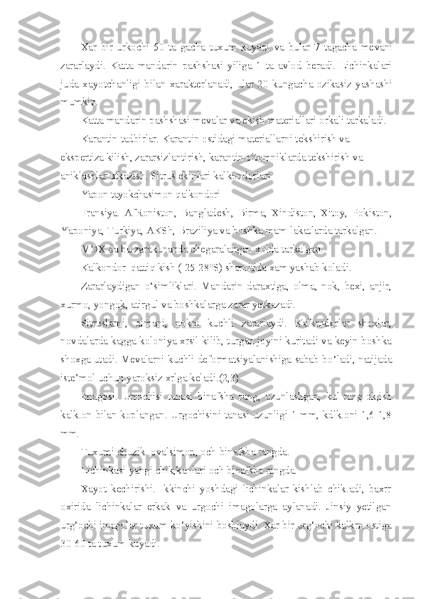 Xar   bir   urkochi   50   ta   gacha   tuxum   kuyadi   va   bular   7   tagacha   me vani
zararlaydi.   Katta   mandarin   pashshasi   yiliga   1   ta   avlod   beradi.   Lichinkalari
juda   xayotchanligi   bilan   xarakterlanadi,   ular   20   kungacha   ozikasiz   yashashi
mumkin.
Katta mandarin pashshasi mevalar va ekish materiallari orkali tarkaladi.
Karantin tadbirlar. Karantin ostidagi materiallarni tekshirish va 
ekspertiza kilish, zararsizlantirish, karantin pitomniklarda tekshirish va 
aniklashlar utkazish. Sitrus ekinlari kalkondorlari
Yapon tayokchasimon  q alkondori-
Fransiya.   AfRoniston,   Bangladesh,   Birma,   Xindiston,   Xitoy,   Pokiston,
Yaponiya, Turkiya, AKSh, Braziliya va boshka mam-lakatlarda tarkalgan.
MDX da bu zarakunanda chegaralangan x o lda tarkalgan.
Kalkondor   q atti q  kish (-25-28°S) sharoitida xam  yashab k o ladi.
Zararlaydigan   o‘ simliklari.   Mandarin   daraxtiga,   olma,   nok,   bexi,   anjir,
xurmo, yongok, atirgul va boshkalarga zarar yetkazadi.
Sitruslarni,   olmani,   nokni   kuchli   zararlaydi.   Kalkrndorlar   shoxlar,
novdalarda kagga koloniya xrsil kilib, turgan joyini kuritadi va keyin boshka
shoxga utadi. Mevalarni kuchli deformatsiyalanishiga sabab b o‘l adi, natijada
iste’mol uchun yaroksiz xrlga keladi.(2,3)
Imagosi.   Urrochisi   tanasi   binafsha   rang,   uzunlashgan,   kul-rang-ok,ish
kalk.on bilan koplangan. Urgochisini tanasi uzunligi 1 mm, kdlk.oni 1,6-1,8
mm.
Tuxumi chuzik. ovalsimon, och-binafsha rangda.
Lichinkasi-yangi chik,kanlari och binafsha rangda.
Xayot   kechirishi.   Ikkinchi   yoshdagi   lichinkalar   kishlab   chik.adi,   baxrr
oxirida   lichinkalar   erkak   va   urgochi   imagolarga   aylanadi.   Jinsiy   yetilgan
ur g‘ ochi imagolar tuxum k o‘ yishini boshlaydi. Xar bir ur g‘ ochi kalkrn ostiga
30-60 ta tuxum kuyadi. 