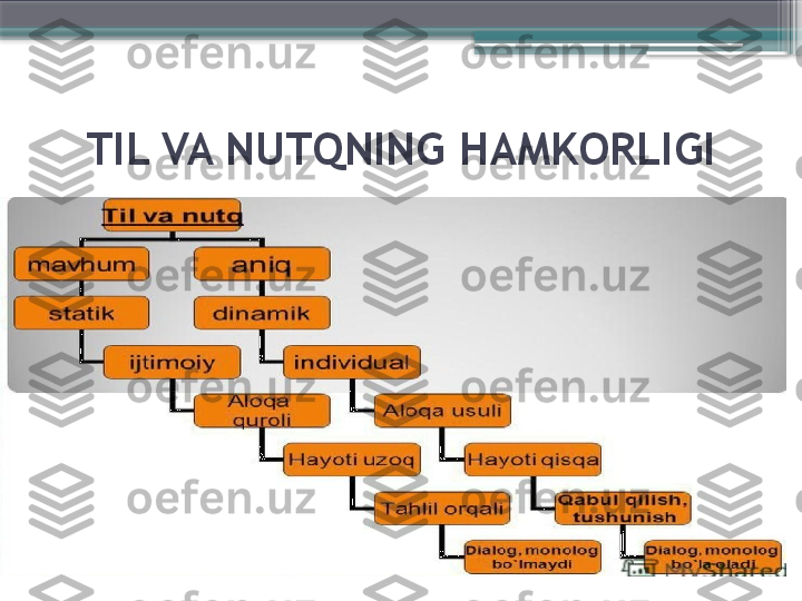 TIL VA NUTQNING HAMKORLIGI                     