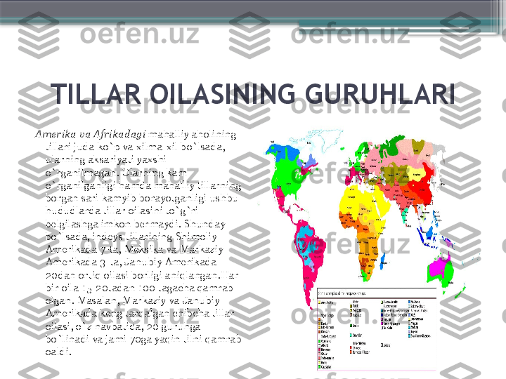 TILLAR OILASINING GURUHLARI
Amerika va Afrikadagi  mahalliy aholining 
tillari juda ko`p va xilma-xil bo`lsada, 
ularning aksariyati yaxshi 
o`rganilmagan. Ularning kam 
o`rganilganligi hamda mahalliy tillarning 
borgan sari kamyib borayotganligi ushbu 
hududlarda tillar oilasini to`g`ri 
belgilashga imkon bermaydi. Shunday 
bo`lsada, indeys tillarining Shimoliy 
Amerikada 7-ta, Meksika va Markaziy 
Amerikada 3-ta, Janubiy Amerikada 
20dan ortiq oilasi borligi aniqlangan.Har 
bir oila 15-20tadan 100 tagacha qamrab 
olgan. Masalan, Markaziy va Janubiy 
Amerikada keng tarqalgan chibcha tillar 
oilasi, o`z navbatida, 20 guruhga 
bo`linadi va jami 70ga yaqin tilni qamrab 
oaldi.                     