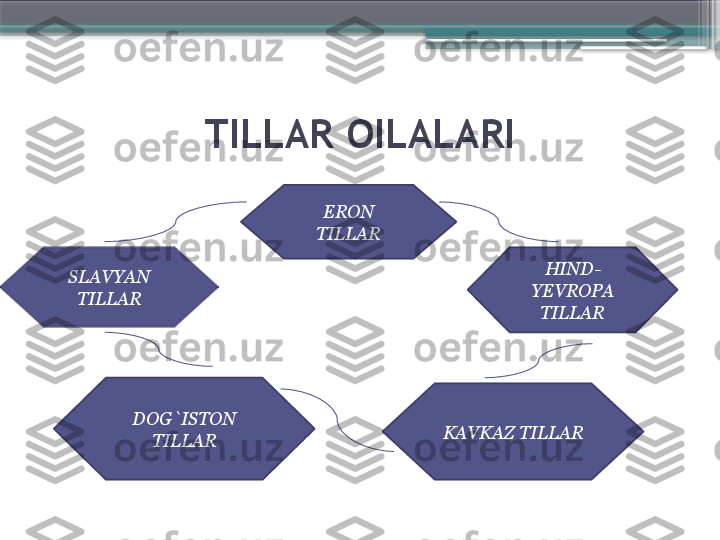 TILLAR OILALARI
ERON 
TILLAR
HIND-
YEVROPA 
TILLARSLAVYAN 
TILLAR
DOG`ISTON 
TILLAR KAVKAZ TILLAR                     