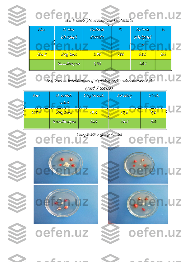 108 F navli g‘o‘zaning suv bug‘latishi
Nav   O‘sim
lik xolati   Gullash
davrida   %   Ko‘sak
ochilgand
a   %  
108 F   Sog‘lam   0,90   100   0,95   100  
Kasallangan   1,08   1,64  
Sog‘lam va kasallangan g‘o‘zaning nafas olish intensivligi
(mm 3 
 1 soatda)
Fungitsidlar ijobiy ta’siriNav   O‘simlik
xolati   YOg‘ochlik   Po‘stloq   O‘zak  
108 F   Sog‘lam 19,4 10,8 8,6
Kasallangan   25,4   16,8   8,6   