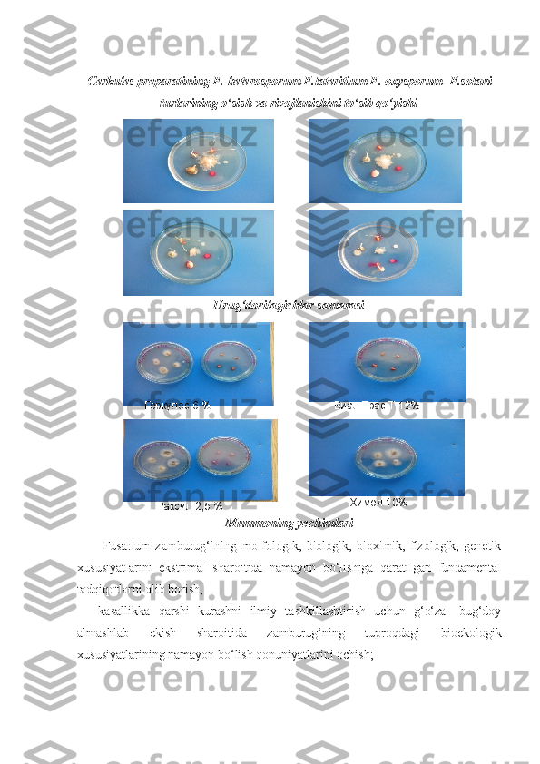 Gerkules preparatining F.  heterosporum   F.lateritium  F. oxysporum     F.solani
turlarining o‘sish va rivojlanishini to‘sib qo‘yishi
Urug‘dorilagichlar samarasi
Mummoning  y echimlari
Fusarium   zamburug‘ining   morfologik,   biologik,   bioximik,   fizologik,   genetik
xususiyatlarini   ekstrimal   sharoitida   namayon   bo‘lishiga   qaratilgan   fundamental
tadqiqotlarni olib borish; 
  -   kasallikka   qarshi   kurashni   ilmiy   tashkillashtirish   uchun   g‘o‘za-   bug‘doy
almashlab   ekish   sharoitida   zamburug‘ning   tuproqdagi   bioekologik
xususiyatlarining namayon bo‘lish qonuniyatlarini ochish; Геркулес 6 % Виал Трас Т 12%
Раксил 2,5 % Химоя 10% 