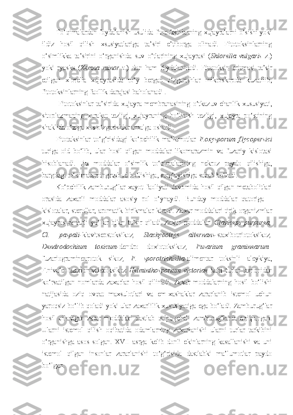 To‘qimalardan foydalanish usulida fitotoksinlarning xujayralarni o‘sishi yoki
ildiz   hosil   qilish   xsusiyatlariga   ta’siri   e’tiborga   olinadi.   Fitotoksinlarning
o‘simlikka   ta’sirini   o‘rganishda   suv   o‘tlarining   xujayrasi   ( Shlorella   vulgaris   z.)
yoki   ryaska   ( Zemna   minor   z .)   dan   ham   foydalaniladi.   Fitotoksin   eritmasi   ta’sir
etilgan   xlorella   xujayrasida   ro‘y   bergan   o‘zgarishlar   mikroskopda   kuzatilib,
fitotoksinlarning faollik darajasi baholanadi .
  Fitotoksinlar   ta’sirida   xujayra   membranasining   o‘tkazuv   chanlik   xususiyati,
sitoplazmaning   xarakat   tezligi,   xujayraning   bo‘linish   tezligi,   xujayra   po‘stining
shaklida o‘ziga xos o‘zgarishlar amalga oshadi .
Fitotaksinlar   to‘g‘risidagi   ko‘pchilik   ma’lumotlar   F.oxysporum   f.lycopersici
turiga   oid   bo‘lib,   ular   hosil   qilgan   moddalar   likomarazmin   va   fuzariy   kislotasi
hisoblanadi.   Bu   moddalar   o‘simlik   to‘qimalarining   nekroz   paydo   qilishiga,
bargdagi to‘qimalarning nobud bo‘lishiga, sarg‘ayishiga sabab bo‘ladi. 
Ko‘pchilik   zamburug‘lar   xayot   faoliyati   davomida   hosil   qilgan   metabolitlari
orasida   zaxarli   moddalar   asosiy   rol   o‘ynaydi.   Bunday   moddalar   qatoriga   –
kislotalar, sterollar, aromatik birikmalar kiradi. Zaxar moddalari tirik organizmlar
xujayrasiga   turli   yo‘llar   bilan   ta’sir   qiladi.   Zaxar   moddalari   Claviceps   purpurea,
Cl.   paspali- klavitsepstoksikoz ,   Stachybotrys   alternans- staxibotriotoksikoz ,
Dendrodochium   toxicum- dendro   doxiotoksikoz ,   Fusarium   graminearum–
fuzariograminearotok   sikoz ,   F.   sporotrichiella- alimentar   toksinli   aleykiya,
F.nivale-fuzarionivaletoksikoz   Helminthosporium   victoriae   kabi   turlar   tamonidan
ko‘rsatilgan   nomlarda   zaxarlar   hosil   qilinadi.   Zaxar   moddalarning   hosil   bo‘lishi
natijasida   oziq   ovqat   maxsulotlari   va   em-xashaklar   zararlanib   istemol   uchun
yaroqsiz bo‘lib qoladi yoki ular zaxarlilik xususiyatiga ega bo‘ladi. Zamburug‘lar
hosil   qiladigan   zarar   moddalari   dastlab   qalpoqchali   zamburug‘larda   aniqlangan.
Ularni   istemol   qilish   oqibatida   odamlarning   zaxarlanishi   ularni   turlar   tarkibini
o‘rganishga   asos   solgan.   XVII   asrga   kelib   donli   ekinlarning   kasallanishi   va   uni
istemol   qilgan   insonlar   zararlanishi   to‘g‘risida   dastlabki   ma’lumotlar   paydo
bo‘lgan. 