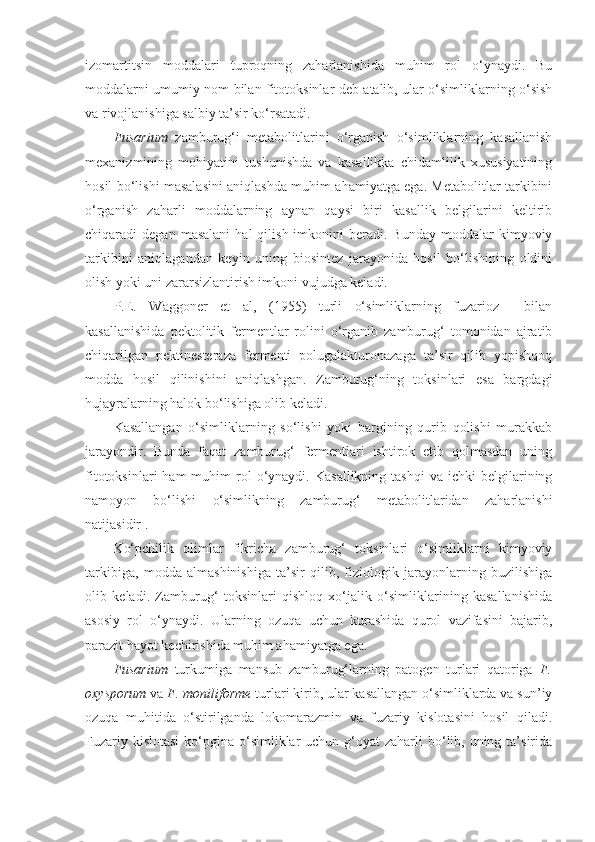 izomartitsin   moddalari   tuproqning   zaharlanishida   muhim   rol   o‘ynaydi.   Bu
moddalarni umumiy nom bilan fitotoksinlar deb atalib, ular o‘simliklarning o‘sish
va rivojlanishiga salbiy ta’sir ko‘rsatadi.
Fusarium   zamburug‘i   metabolitlarini   o‘rganish   o‘simliklarning   kasallanish
mexanizmining   mohiyatini   tushunishda   va   kasallikka   chidamlilik   xususiyatining
hosil bo‘lishi masalasini aniqlashda muhim ahamiyatga ega. Metabolitlar tarkibini
o‘rganish   zaharli   moddalarning   aynan   qaysi   biri   kasallik   belgilarini   keltirib
chiqaradi   degan  masalani   hal   qilish  imkonini   beradi.  Bunday  moddalar   kimyoviy
tarkibini   aniqlagandan   keyin   uning   biosintez   jarayonida   hosil   bo‘lishining   oldini
olish yoki uni zararsizlantirish imkoni vujudga keladi.
P.E.   Waggoner   et   al,   (1955)   turli   o‘simliklarning   fuzarioz     bilan
kasallanishida   pektolitik   fermentlar   rolini   o‘rganib   zamburug‘   tomonidan   ajratib
chiqarilgan   pektinesteraza   fermenti   polugalakturonazaga   ta’sir   qilib   yopishqoq
modda   hosil   qilinishini   aniqlashgan.   Zamburug‘ning   toksinlari   esa   bargdagi
hujayralarning halok bo‘lishiga olib keladi.
Kasallangan   o‘simliklarning   so‘lishi   yoki   bargining   qurib   qolishi   murakkab
jarayondir.   Bunda   faqat   zamburug‘   fermentlari   ishtirok   etib   qolmasdan   uning
fitotoksinlari  ham  muhim   rol  o‘ynaydi.  Kasallikning   tashqi  va  ichki  belgilarining
namoyon   bo‘lishi   o‘simlikning   zamburug‘   metabolitlaridan   zaharlanishi
natijasidir .
Ko‘pchilik   olimlar   fikricha   zamburug‘   toksinlari   o‘simliklarni   kimyoviy
tarkibiga,   modda   almashinishiga   ta’sir   qilib,   fiziologik   jarayonlarning   buzilishiga
olib   keladi.   Zamburug‘   toksinlari   qishloq   xo‘jalik   o‘simliklarining   kasallanishida
asosiy   rol   o‘ynaydi.   Ularning   ozuqa   uchun   kurashida   qurol   vazifasini   bajarib,
parazit hayot kechirishida muhim ahamiyatga ega.
Fusarium   turkumiga   mansub   zamburug‘larning   patogen   turlari   qatoriga   F.
oxysporum  va  F. moniliforme  turlari kirib, ular kasallangan o‘simliklarda va sun’iy
ozuqa   muhitida   o‘stirilganda   lokomarazmin   va   fuzariy   kislotasini   hosil   qiladi.
Fuzariy kislotasi  ko‘pgina o‘simliklar  uchun  g‘oyat  zaharli  bo‘lib, uning ta’sirida 