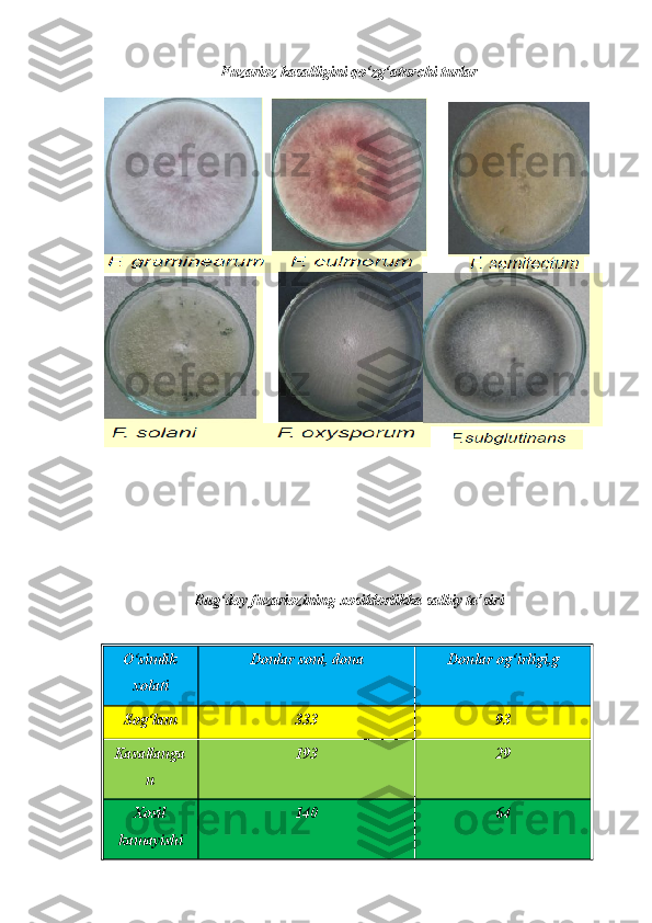 Fuzarioz kasalligini qo‘zg‘atuvchi turlar
Bug‘doy fuzariozining xosildorlikka salbiy ta’siri
O‘simlik
xolati   Donlar soni, dona   Donlar og‘irligi,g  
Sog‘lam   333   93  
Kasallanga
n   193   29  
Xosil
kamayishi   140   64   