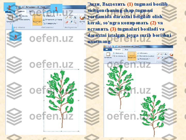 Энди, В ыделить   (1)   tugmasi bosilib 
sichqonchaning chap tugmasi 
yordamida daraxtni belgilab olish 
kerak, so’ngra копировать  (2)   va 
вставить   (3)  tugmalari bosiladi va 
daraxtni istalgan joyga surib borishni 
unutmang.  12
3 