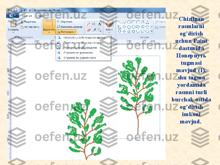 C h izilgan 
rasmlarni 
og’dirish 
uchun Paint 
dasturida 
Повернуть  
tugmasi 
mavjud (1), 
shu tugma 
yordamida 
rasmni turli 
burchak ostida 
og’dirish 
imkoni 
mavjud.   