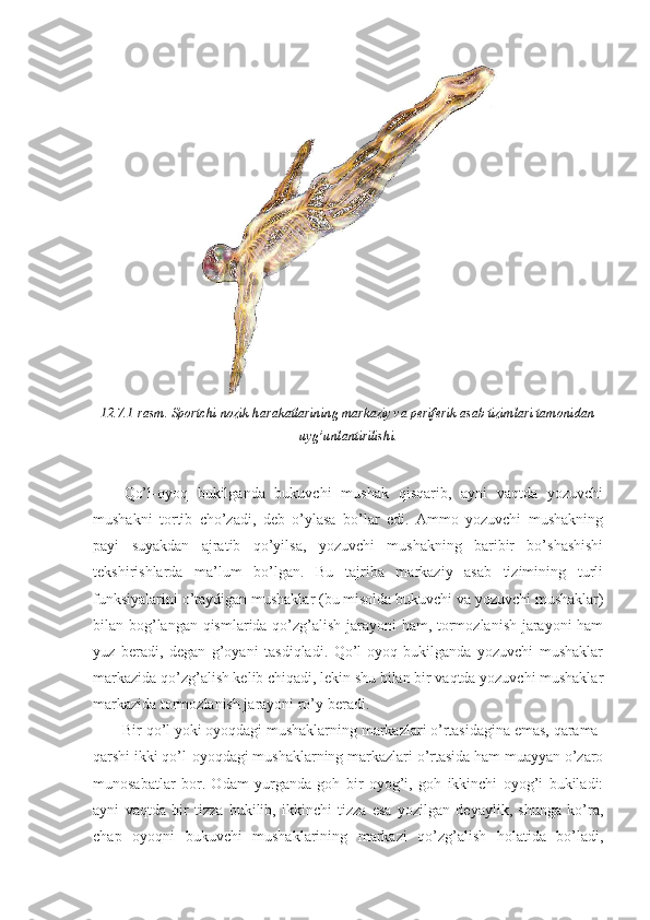 12.7.1-rasm. Sportchi nozik harakatlarining markaziy va periferik asab tizimlari tamonidan
uyg’unlantirilishi .
Qo’l-oyoq   bukilganda   bukuvchi   mushak   qisqarib,   ayni   vaqtda   yozuvchi
mushakni   tortib   cho’zadi,   deb   o’ylasa   bo’lar   edi.   Ammo   yozuvchi   mushakning
payi   suyakdan   ajratib   qo’yilsa,   yozuvchi   mushakning   baribir   bo’shashishi
tekshirishlarda   ma’lum   bo’lgan.   Bu   tajriba   markaziy   asab   tizimining   turli
funksiyalarini o’taydigan mushaklar (bu misolda bukuvchi va yozuvchi mushaklar)
bilan bog’langan qismlarida qo’zg’alish jarayoni ham, tormozlanish jarayoni ham
yuz   beradi,   degan   g’oyani   tasdiqladi.   Qo’l-oyoq   bukilganda   yozuvchi   mushaklar
markazida qo’zg’alish kelib chiqadi, lekin shu bilan bir vaqtda yozuvchi mushaklar
markazida tormozlanish jarayoni ro’y beradi. 
Bir qo’l yoki oyoqdagi mushaklarning markazlari o’rtasidagina emas, qarama-
qarshi ikki qo’l-oyoqdagi mushaklarning markazlari o’rtasida ham muayyan o’zaro
munosabatlar   bor.   Odam   yurganda   goh   bir   oyog’i,   goh   ikkinchi   oyog’i   bukiladi:
ayni   vaqtda   bir   tizza   bukilib,   ikkinchi   tizza   esa   yozilgan   deyaylik,   shunga   ko’ra,
chap   oyoqni   bukuvchi   mushaklarining   markazi   qo’zg’alish   holatida   bo’ladi, 